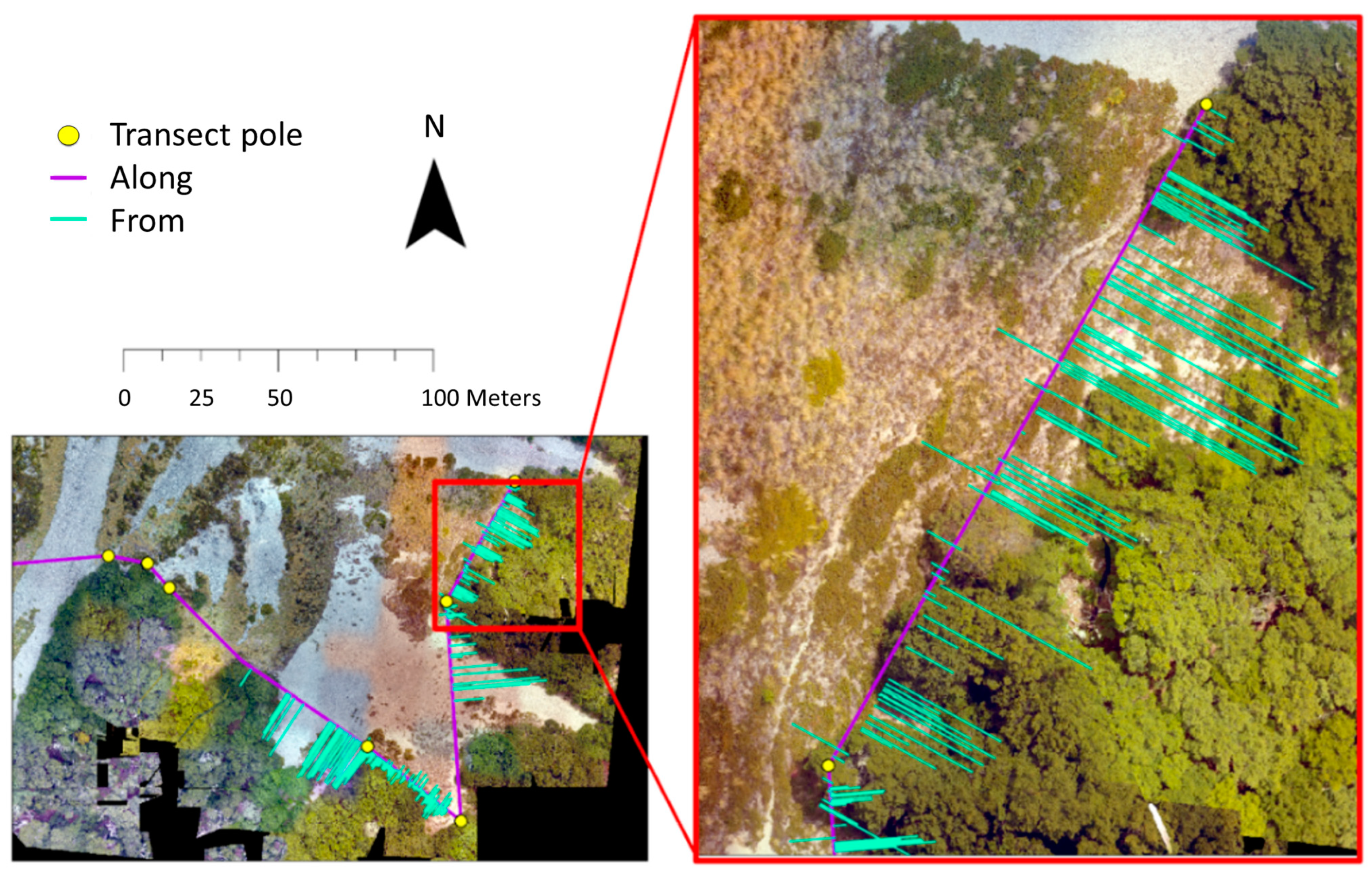 Remotesensing 16 00840 g005