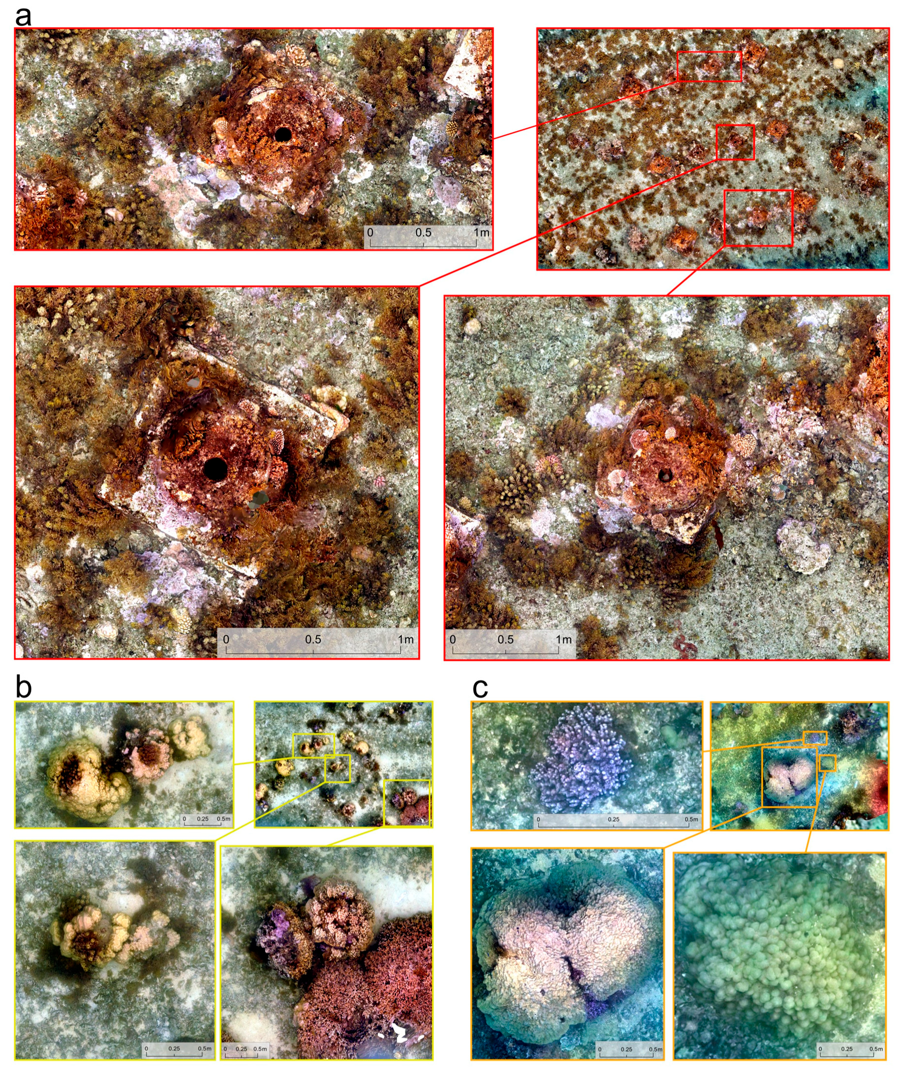 Remotesensing 16 00853 g003