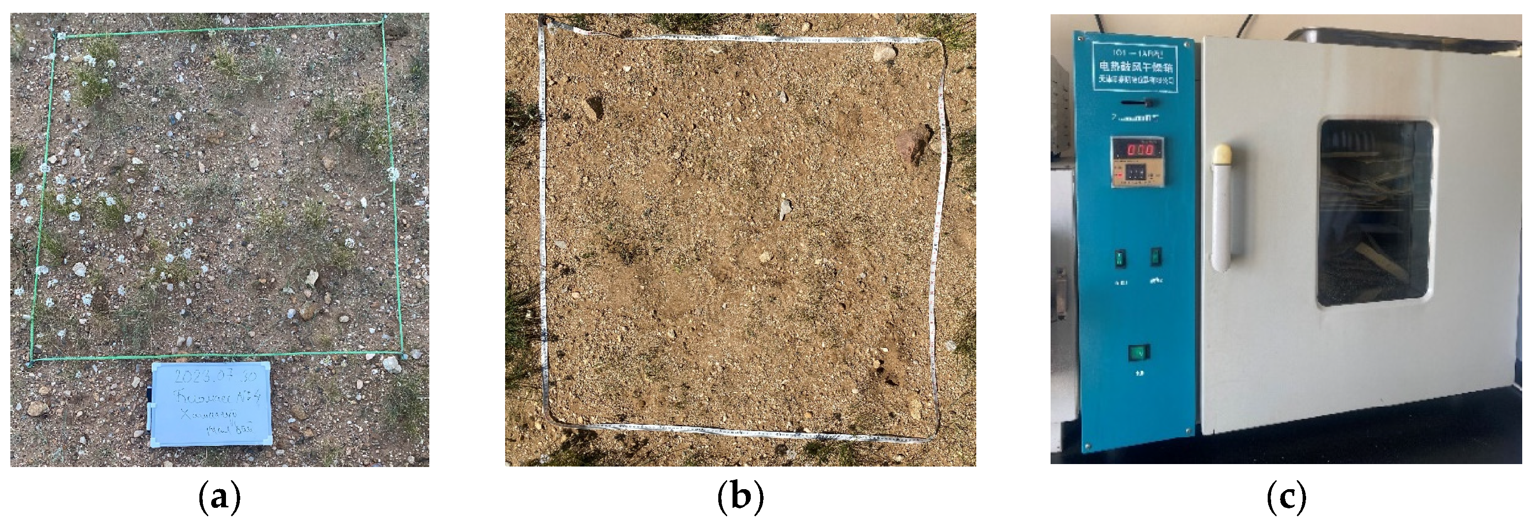 Remotesensing 16 00869 g004