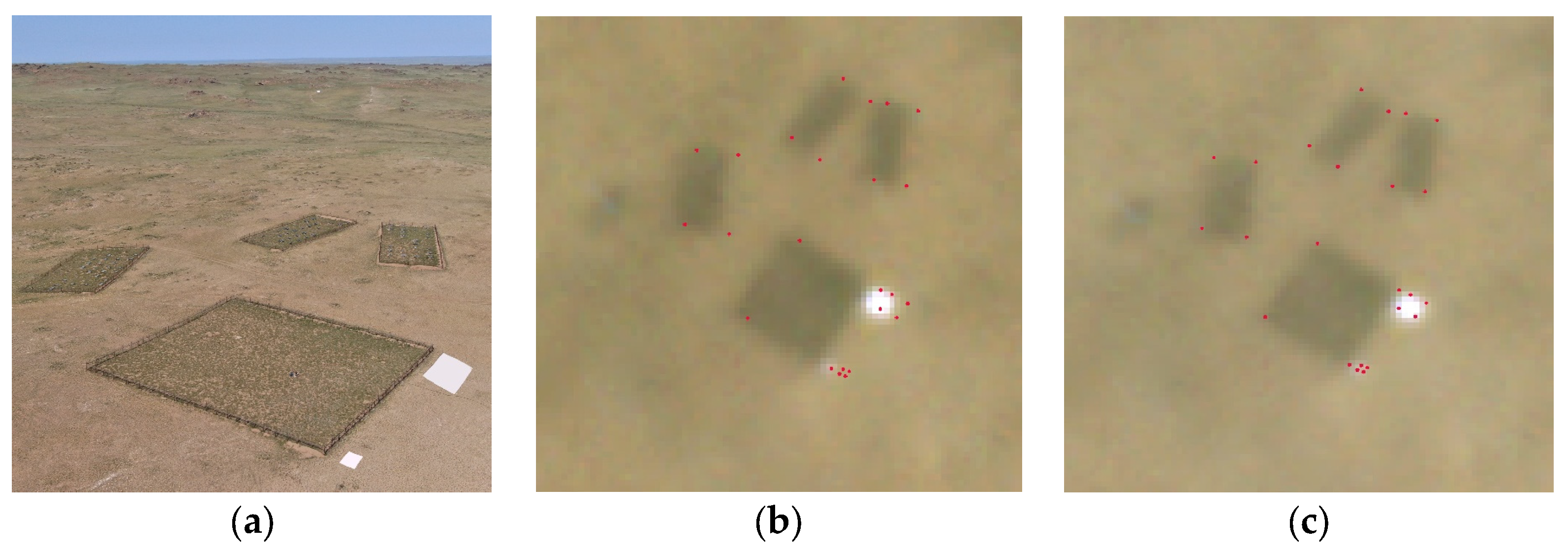 Remotesensing 16 00869 g007