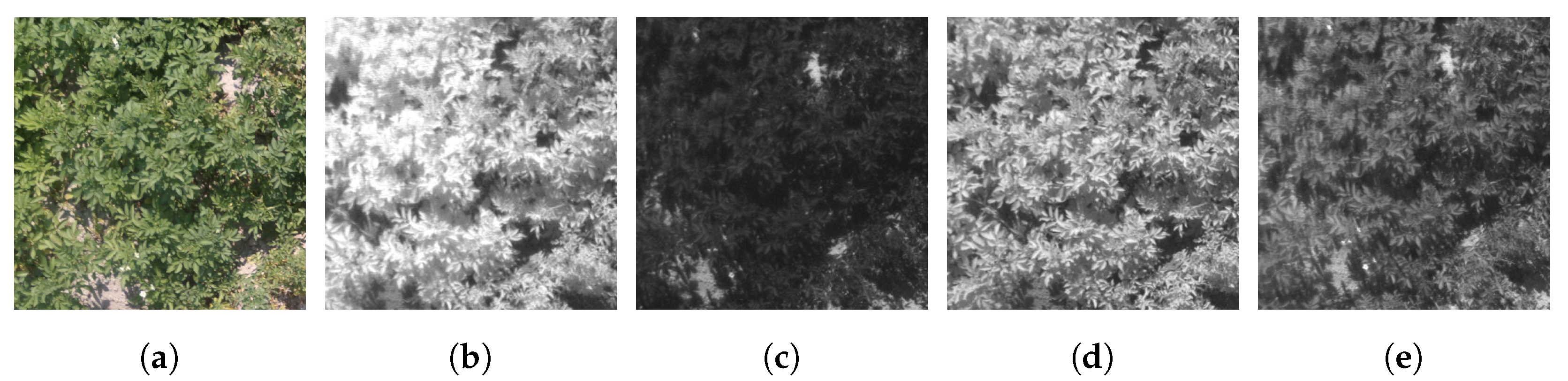 Remotesensing 16 00874 g001 Remotesensing 16 00874 g001