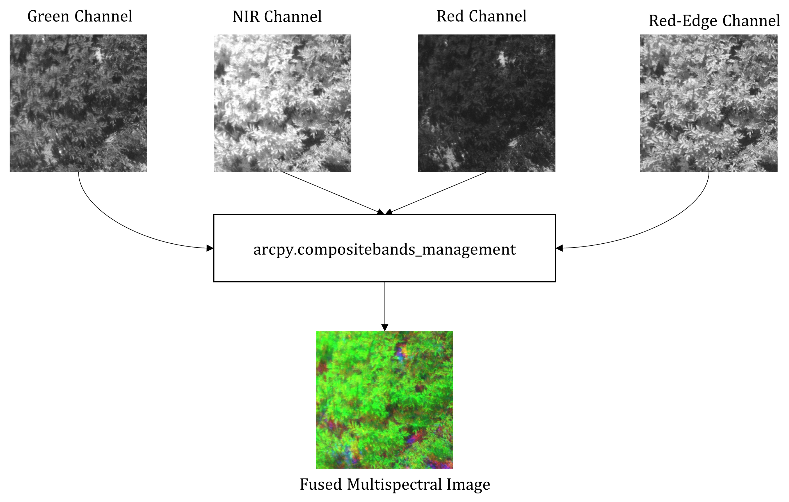 Remotesensing 16 00874 g002 Remotesensing 16 00874 g002