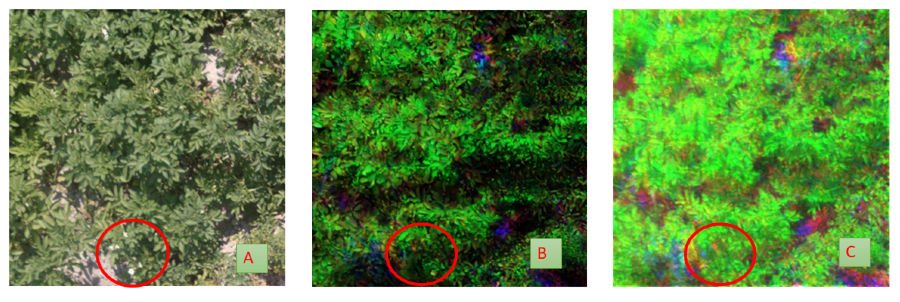 Remotesensing 16 00874 g008 Remotesensing 16 00874 g008