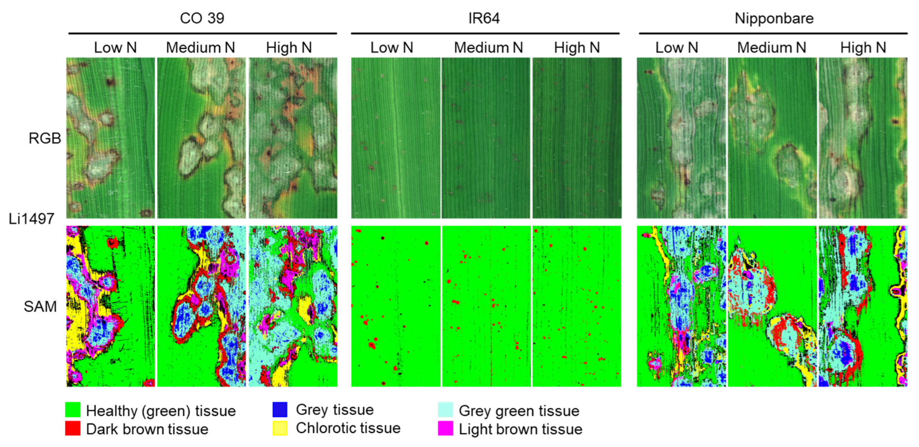 Remotesensing 16 00939 g006