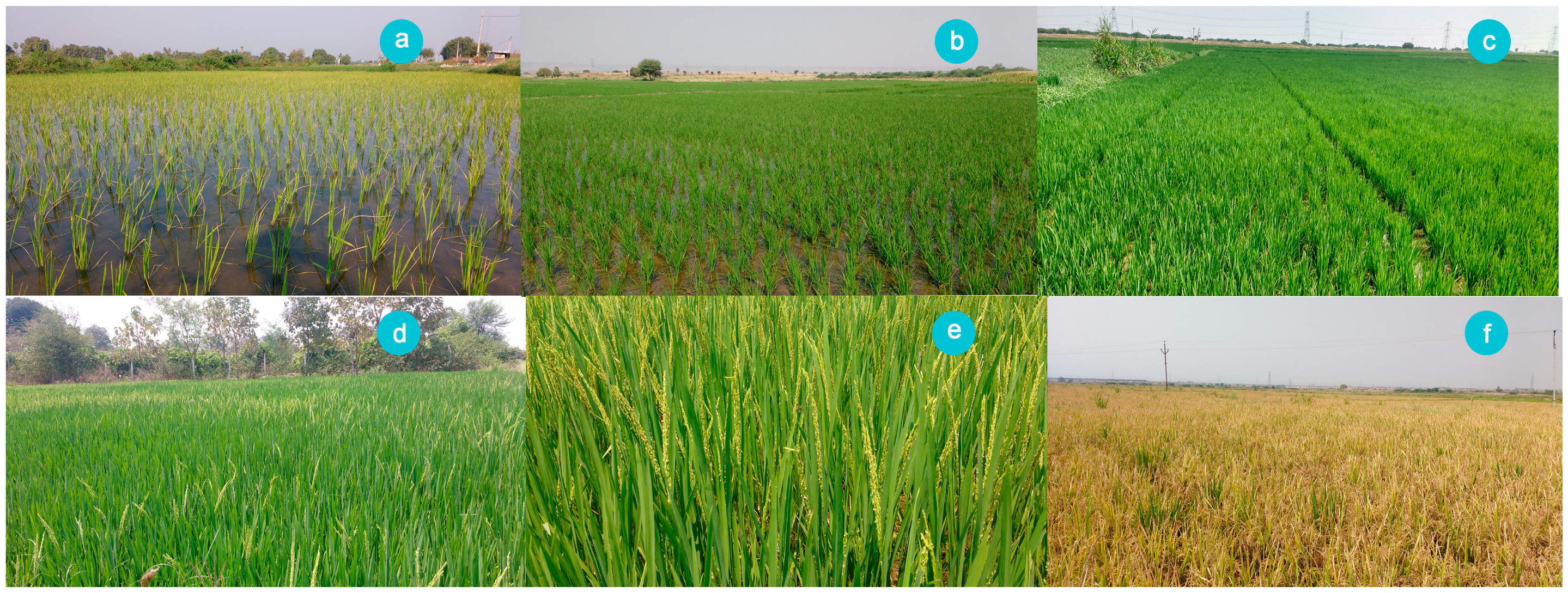 Remotesensing 16 00954 g003 Remotesensing 16 00954 g003