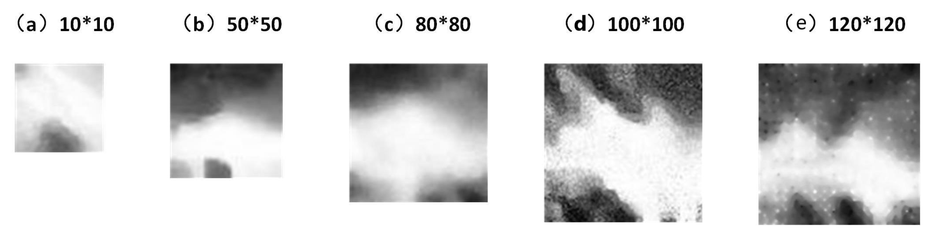 Remotesensing 16 00997 g005