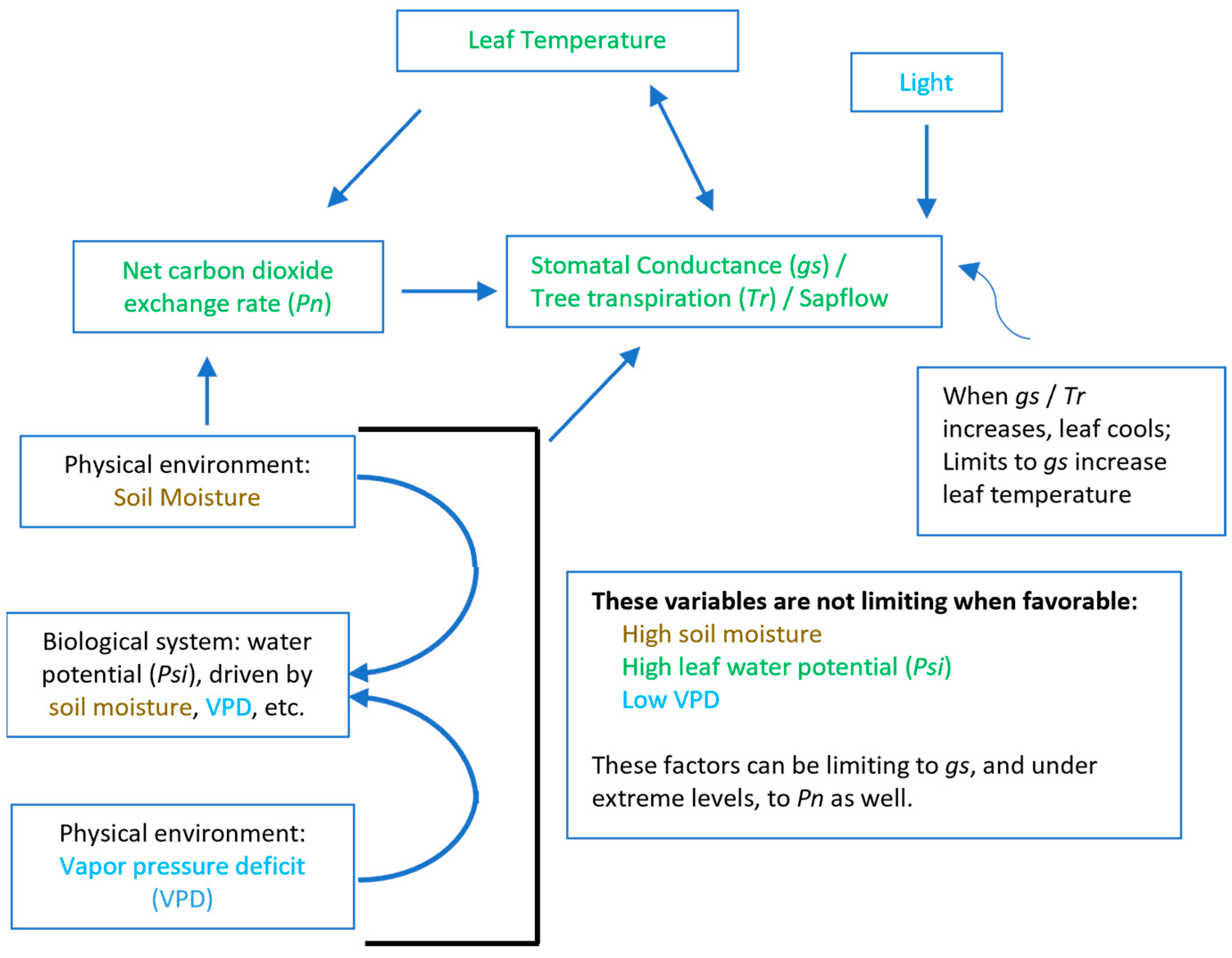 Remotesensing 16 01005 g001