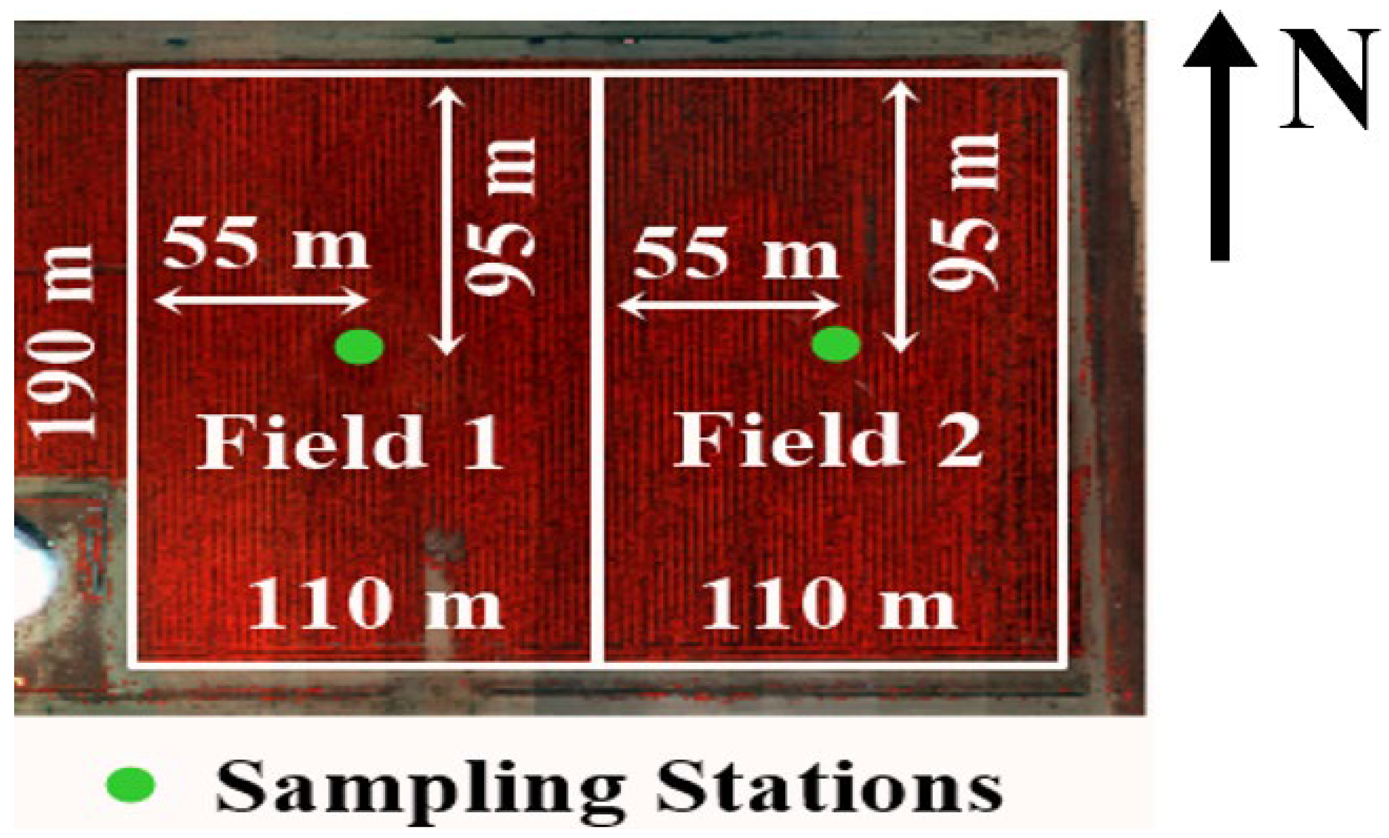 Remotesensing 16 01012 g002