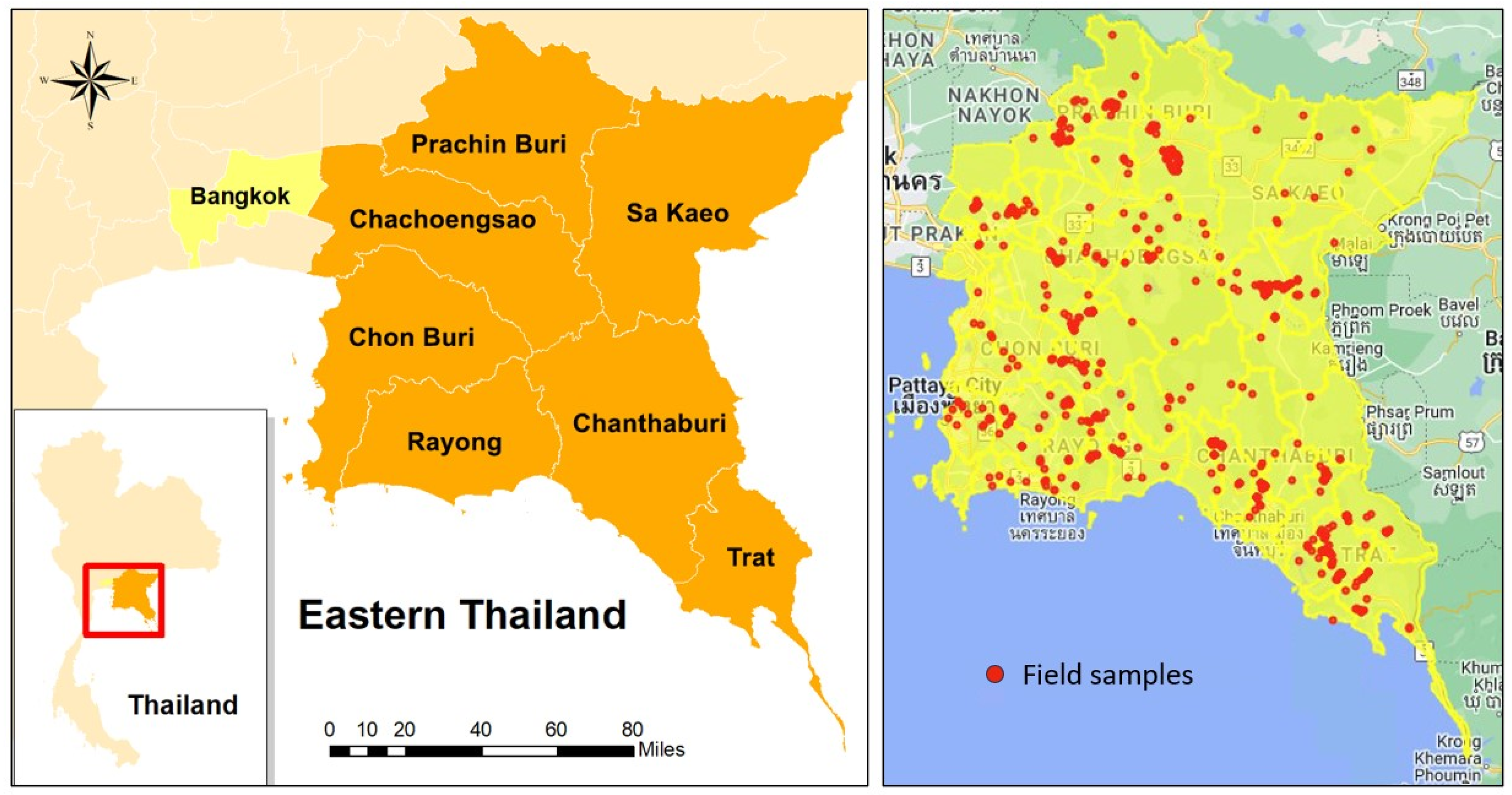 Remotesensing 16 01035 g002
