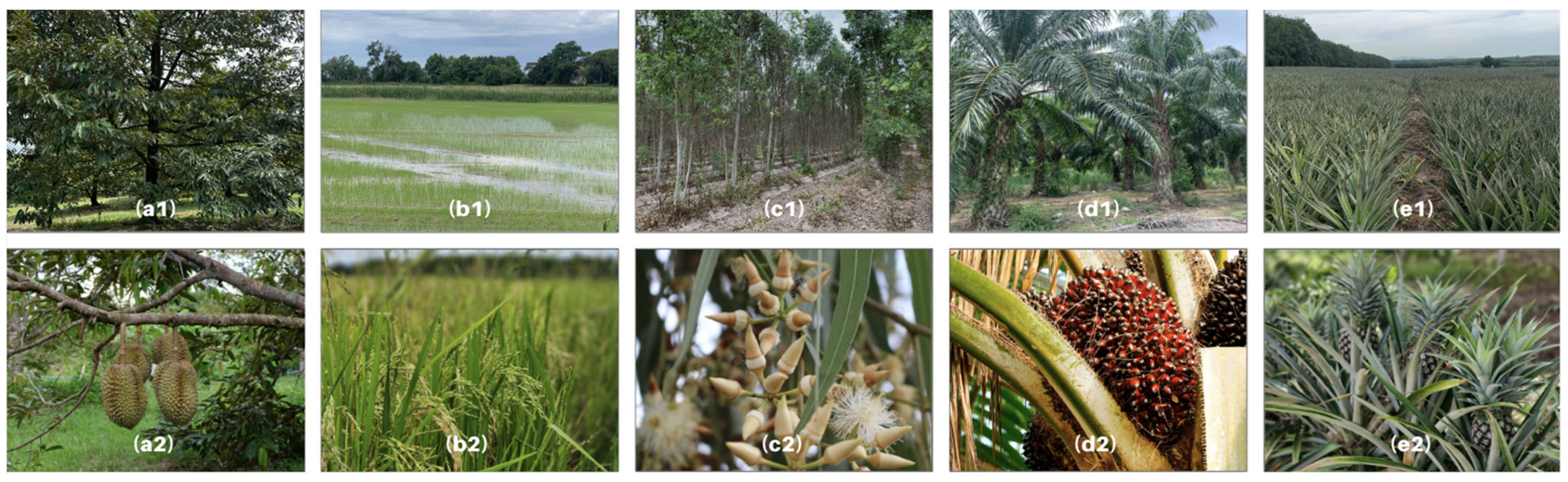 Remotesensing 16 01035 g003