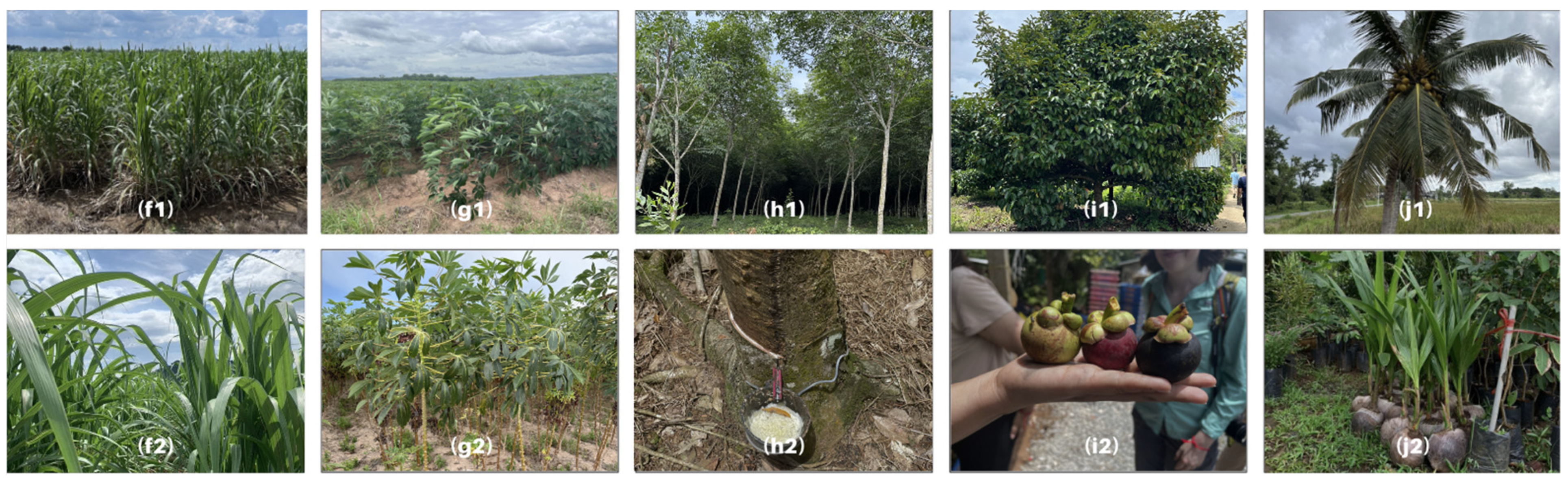 Remotesensing 16 01035 g004