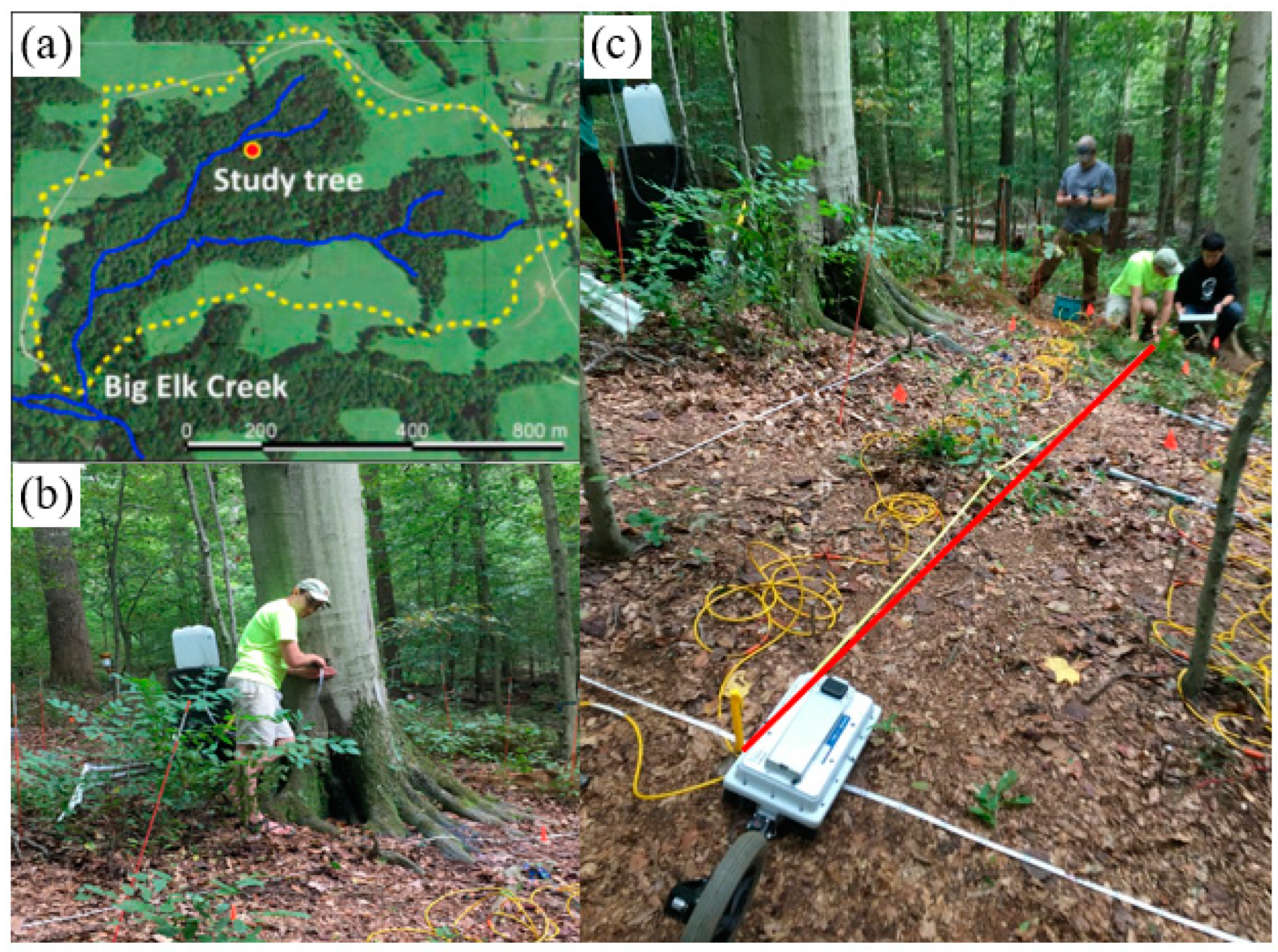 Remotesensing 16 01040 g005
