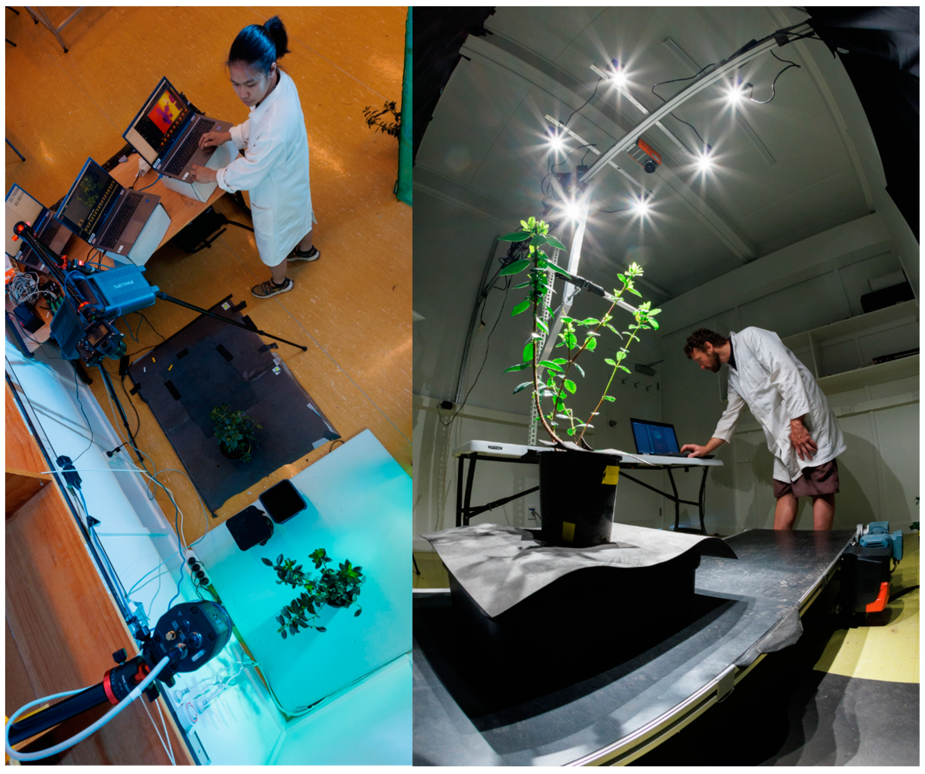 Remotesensing 16 01050 g001