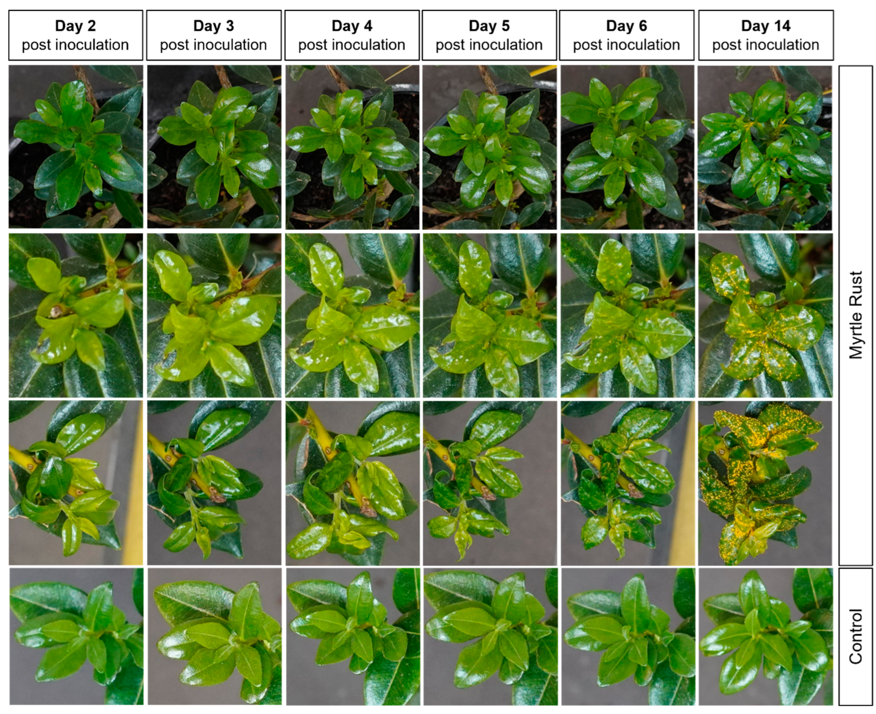 Remotesensing 16 01050 g002