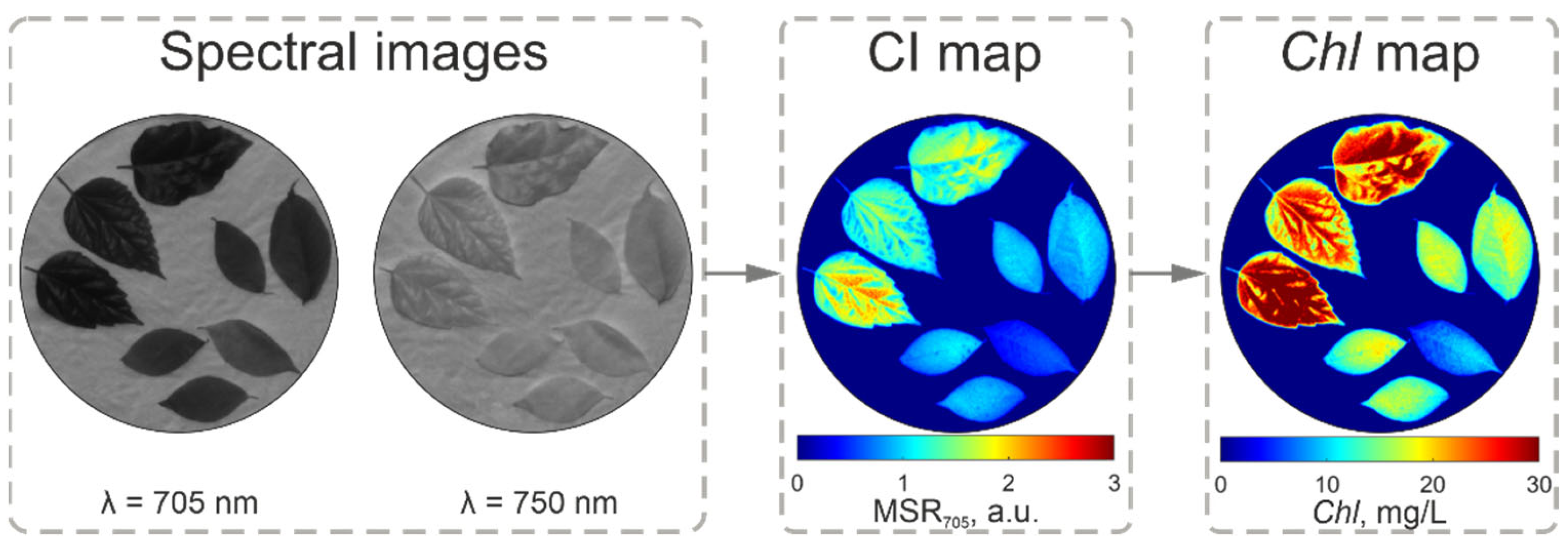 Remotesensing 16 01073 g006