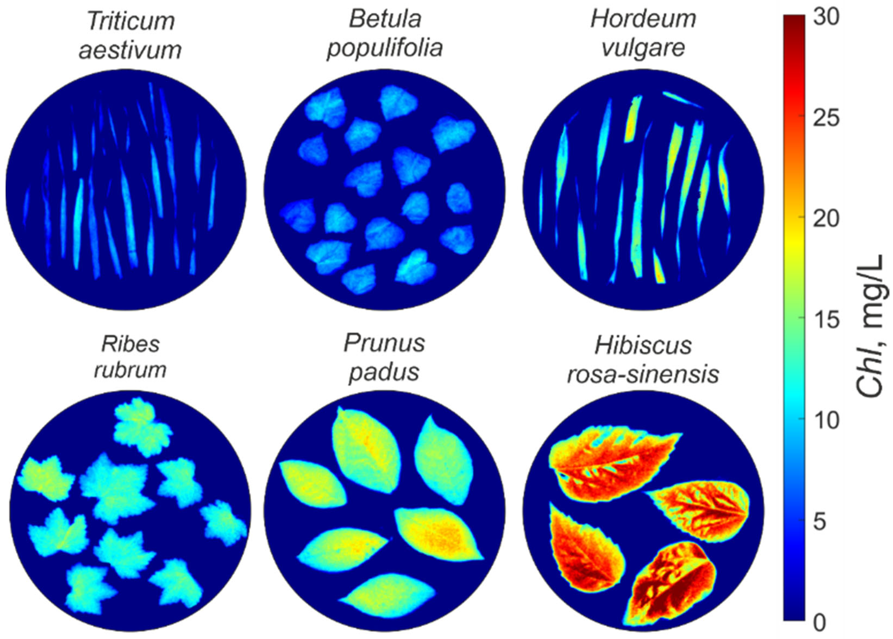 Remotesensing 16 01073 g007