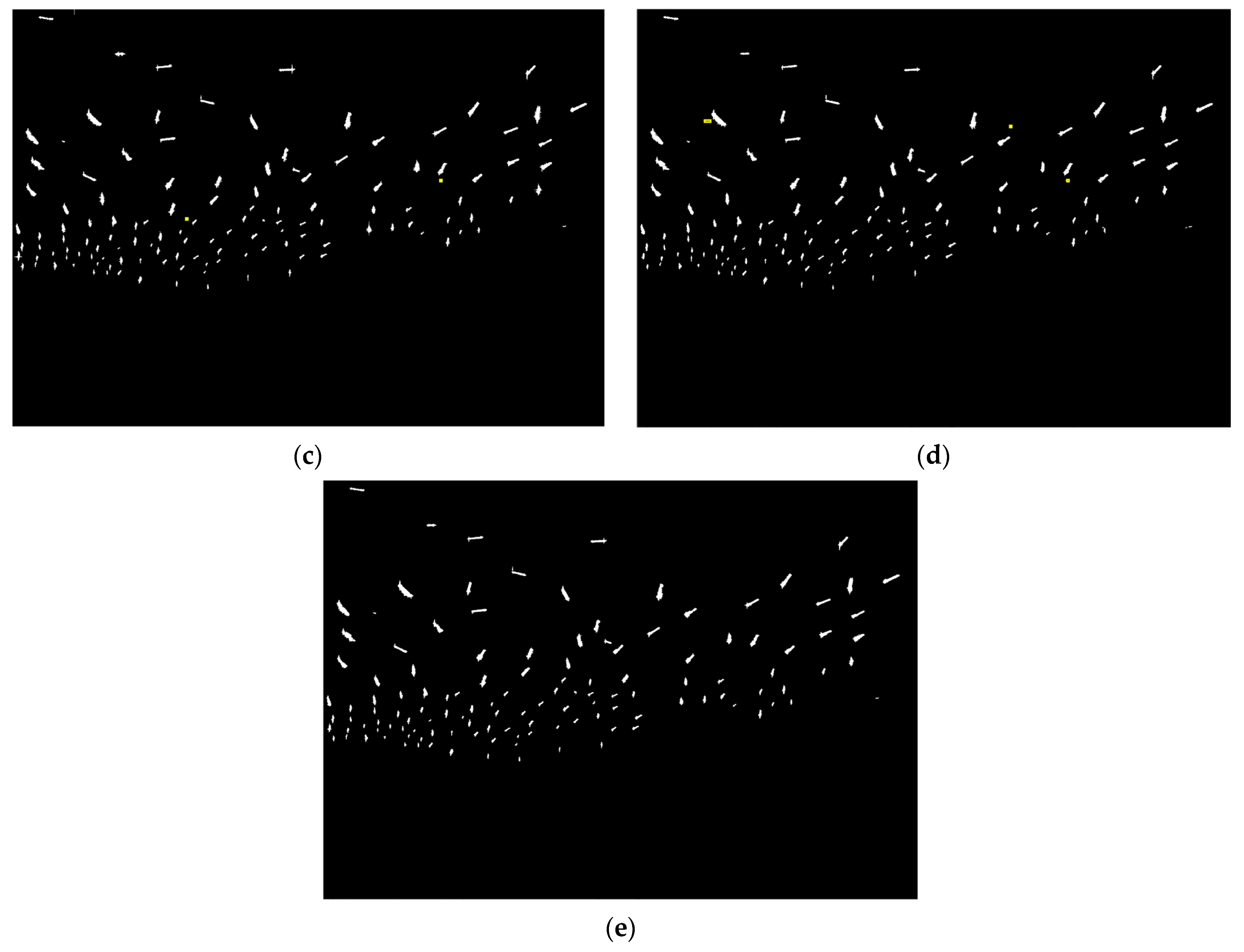 Remotesensing 16 01095 g006b