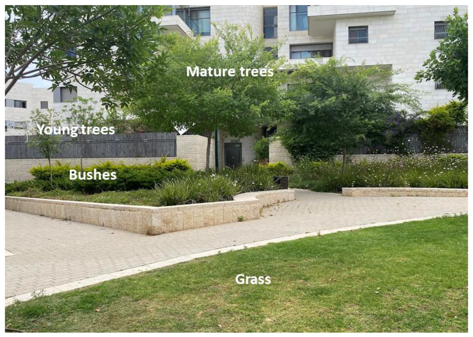 Remotesensing 16 01110 g006