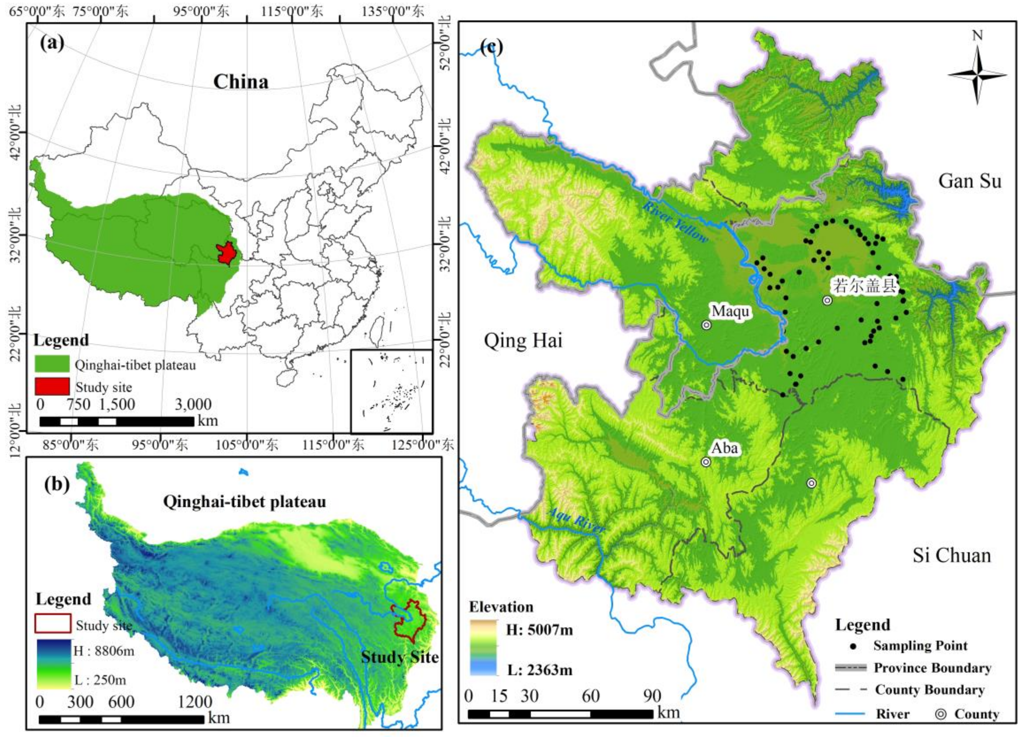 Remotesensing 16 01117 g001