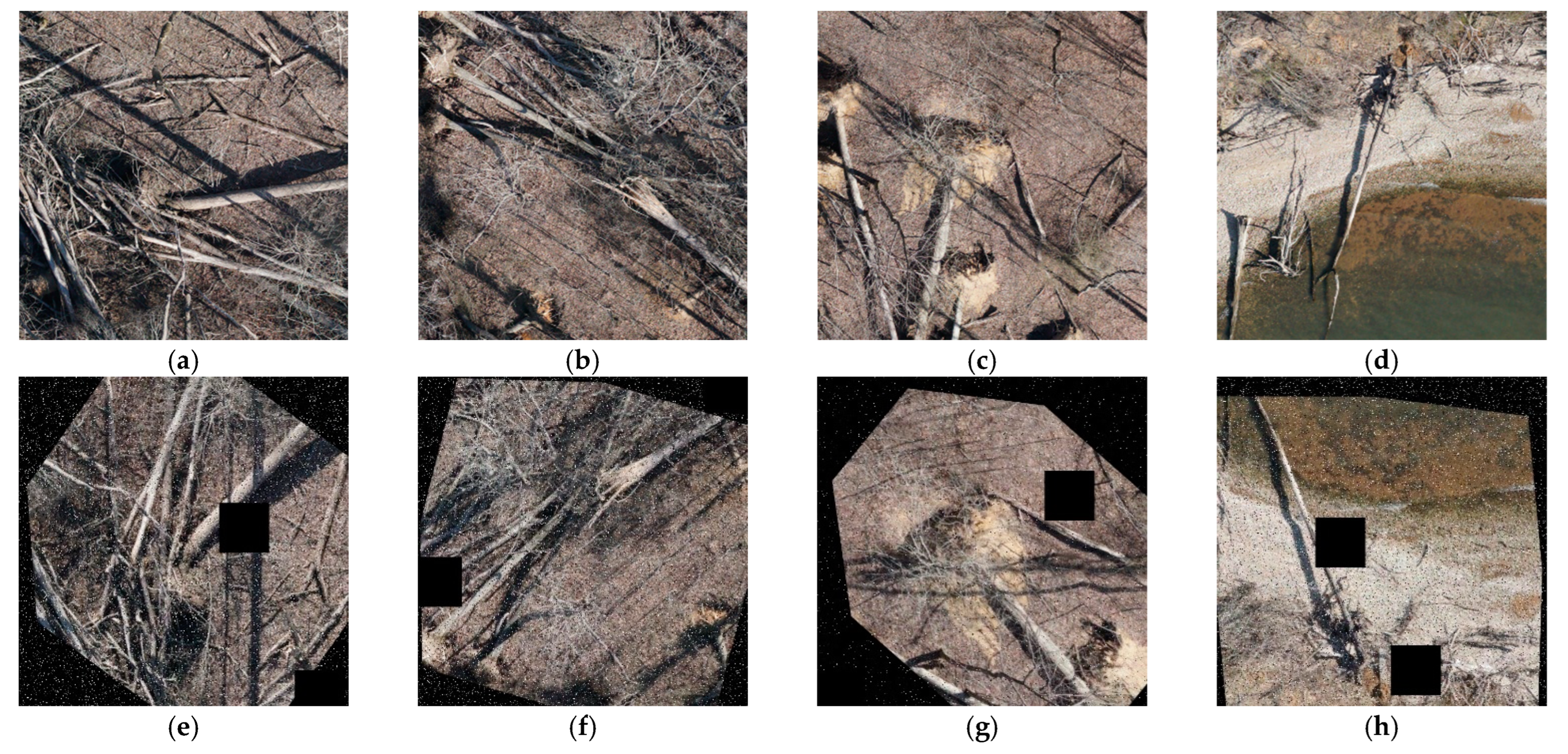 Remotesensing 16 01130 g004