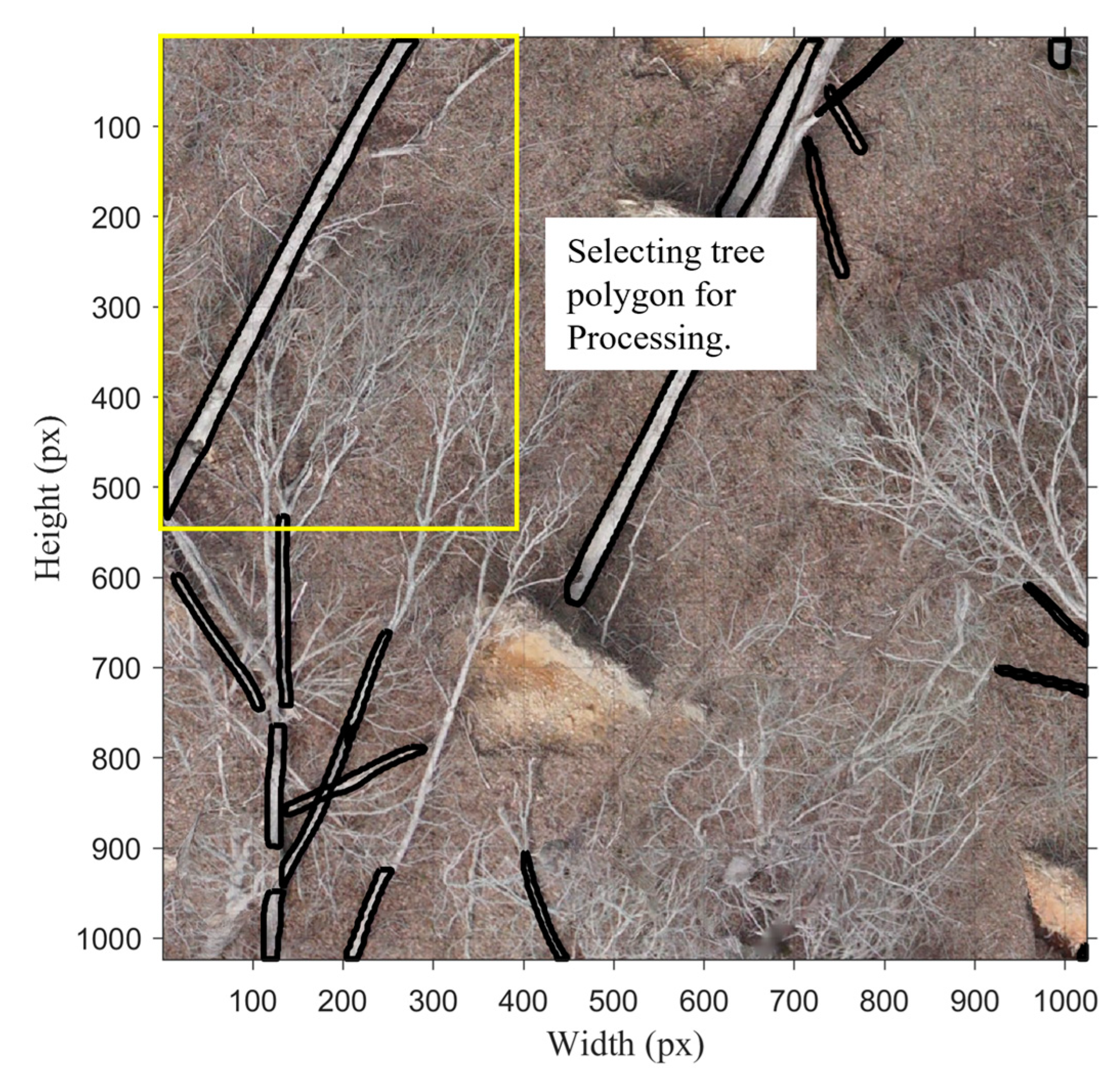 Remotesensing 16 01130 g008