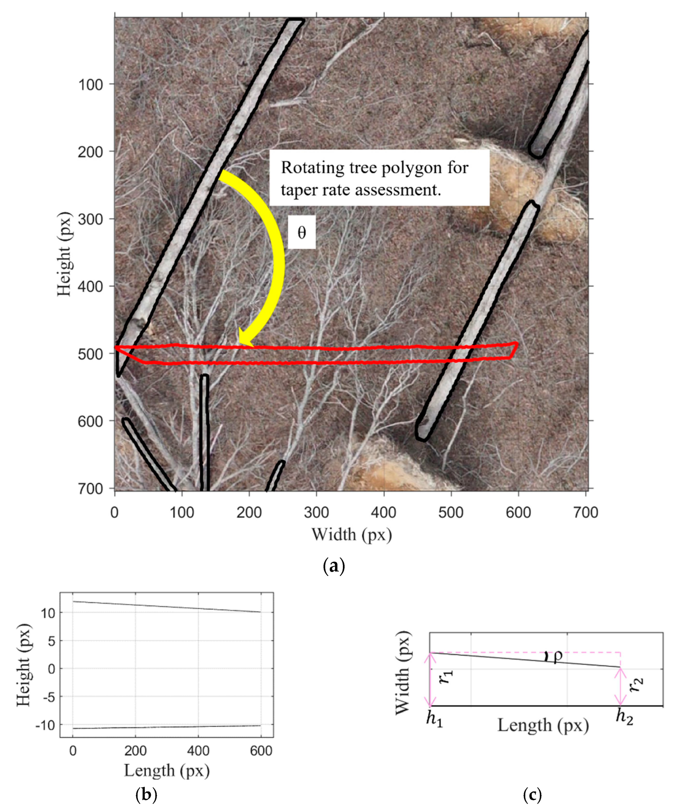 Remotesensing 16 01130 g009