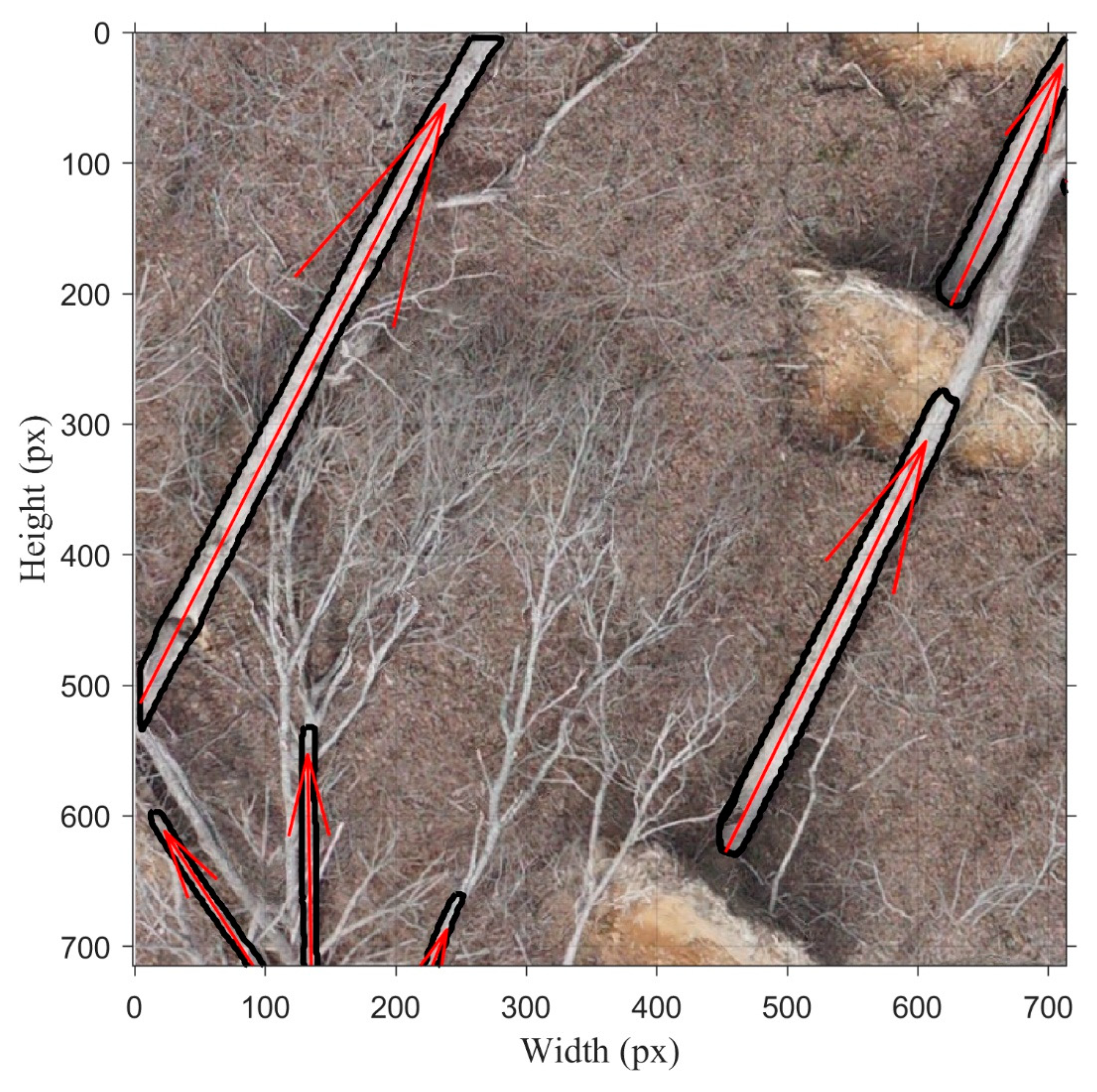 Remotesensing 16 01130 g010