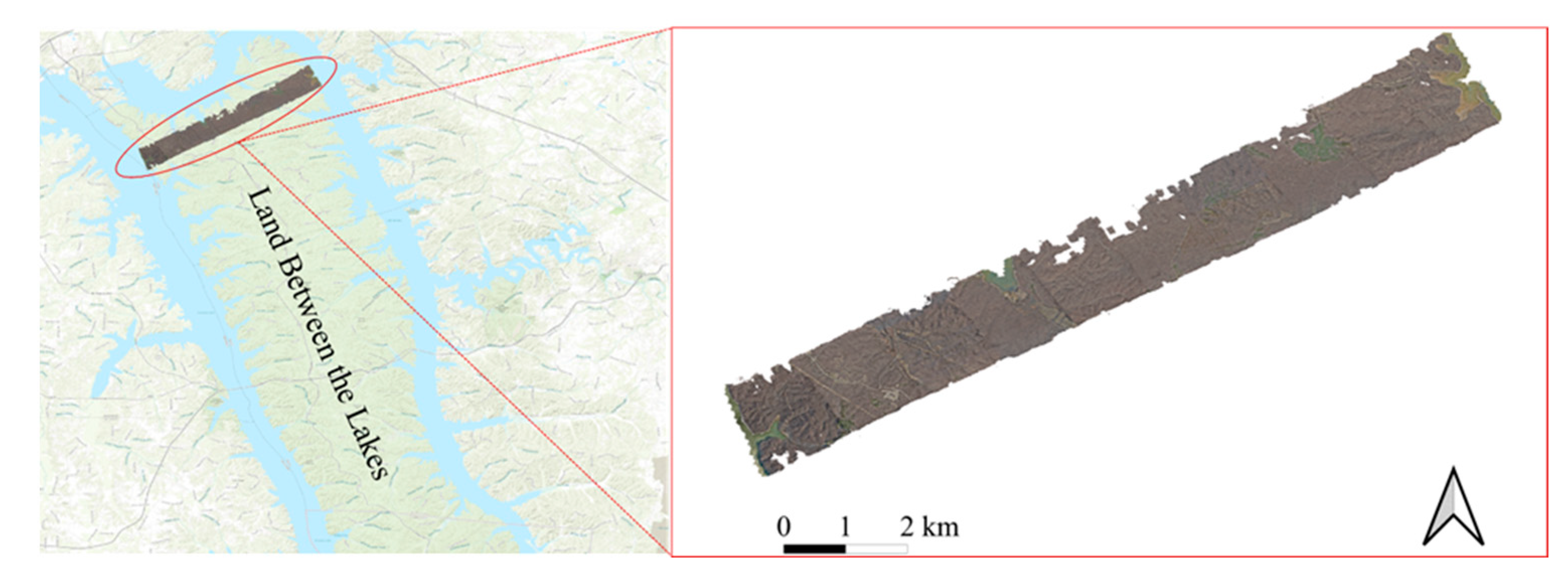 Remotesensing 16 01130 g012