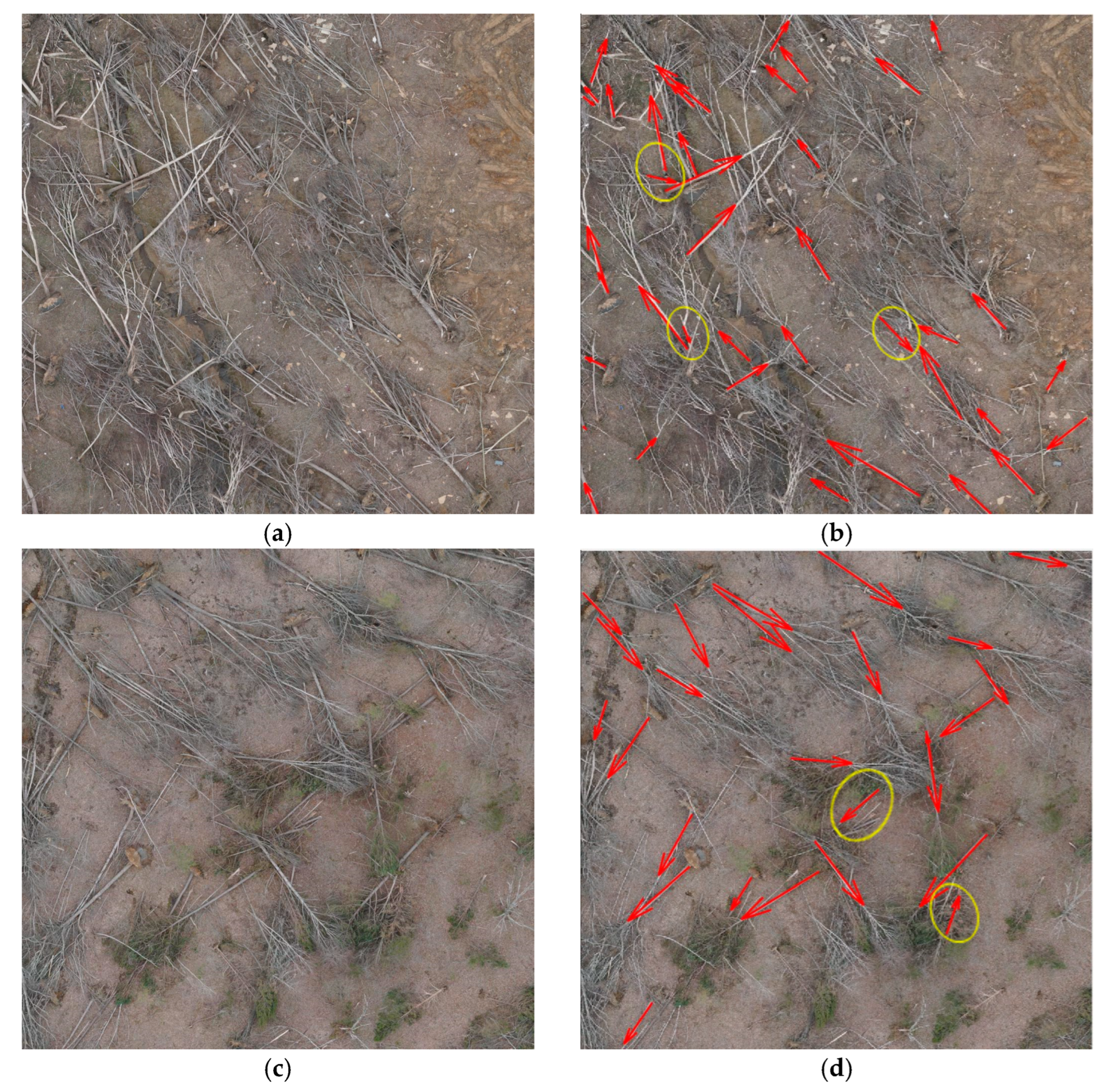 Remotesensing 16 01130 g014