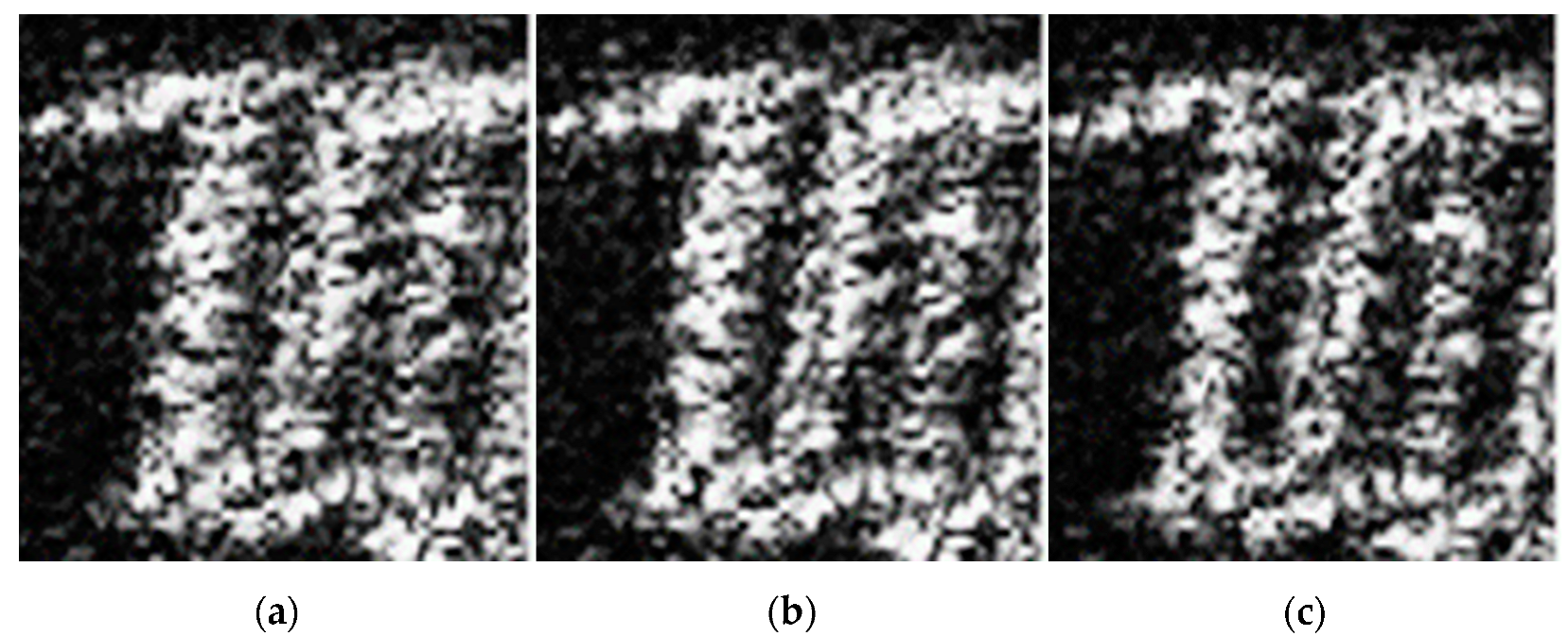 Remotesensing 16 01131 g016