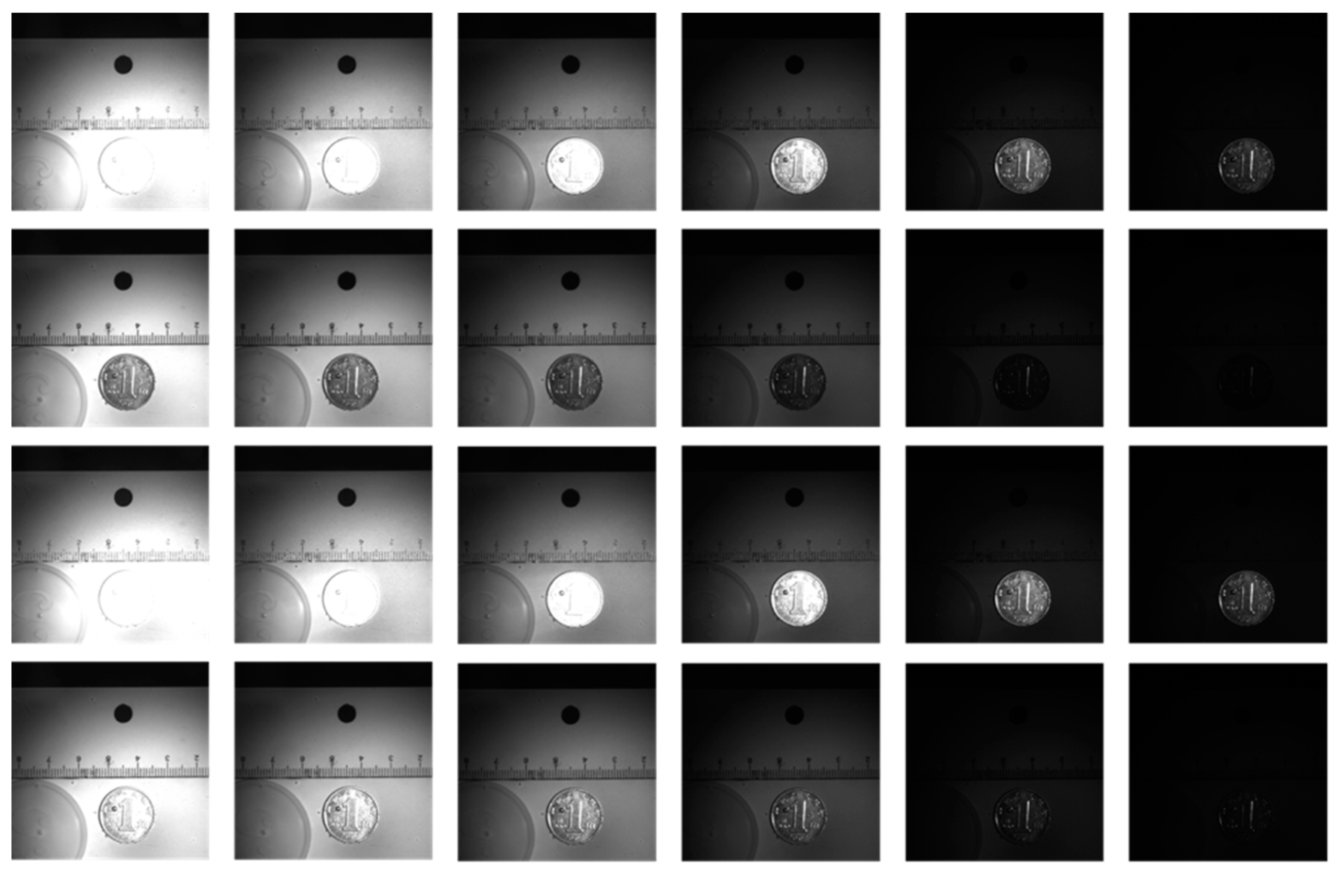Remote Sensing | Free Full-Text | A Dual-Branch Autoencoder Network for ...