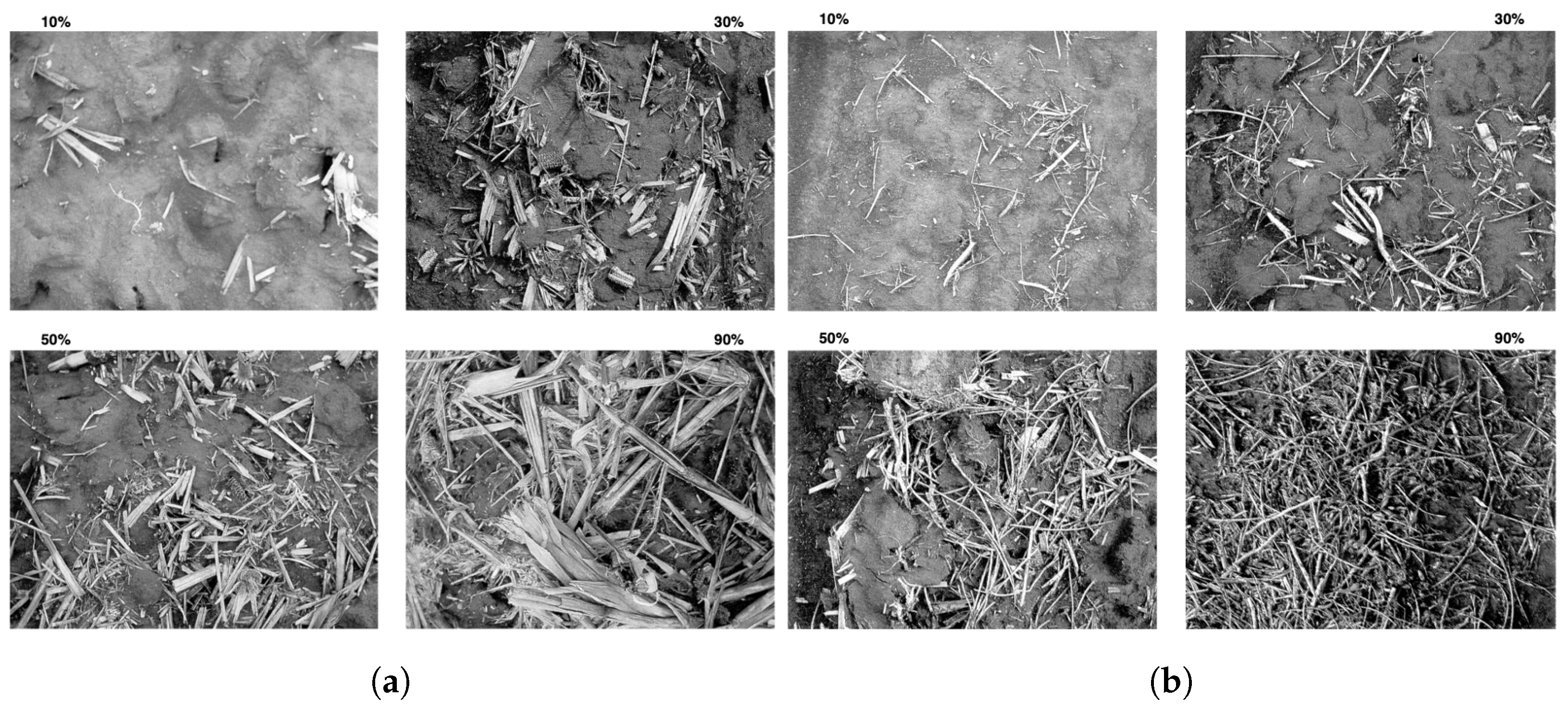 Remotesensing 16 01135 g012