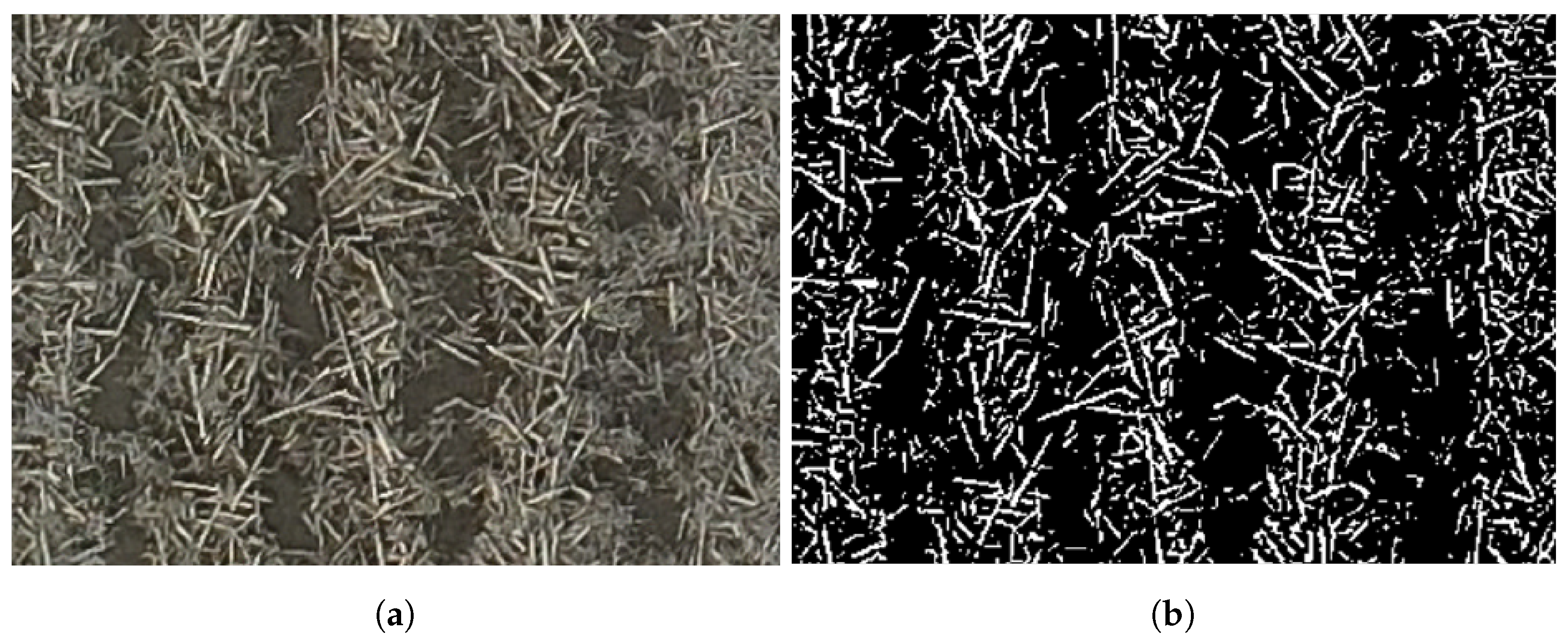 Remotesensing 16 01135 g017