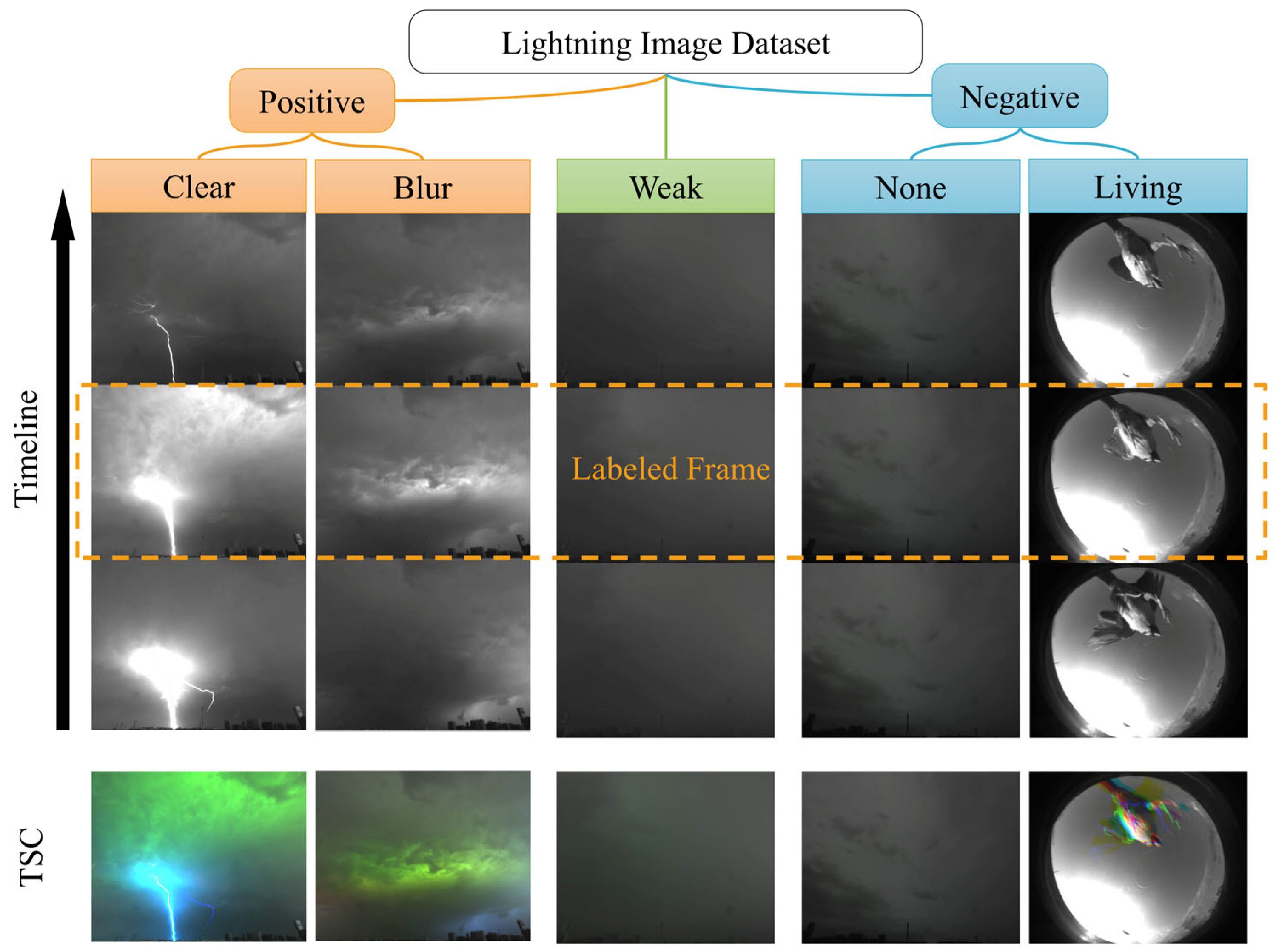 Remotesensing 16 01151 g005