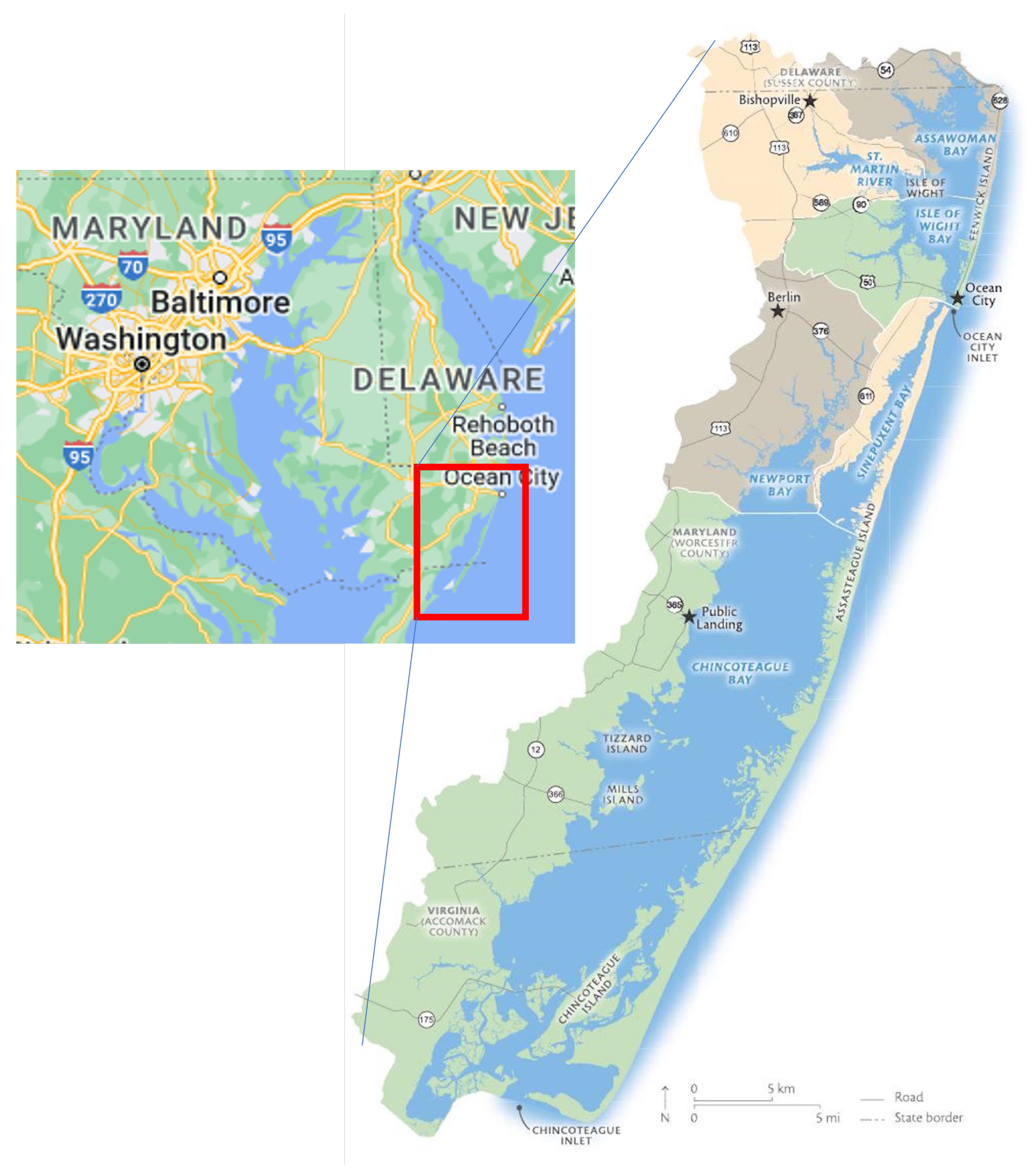 Remotesensing 16 01165 g001