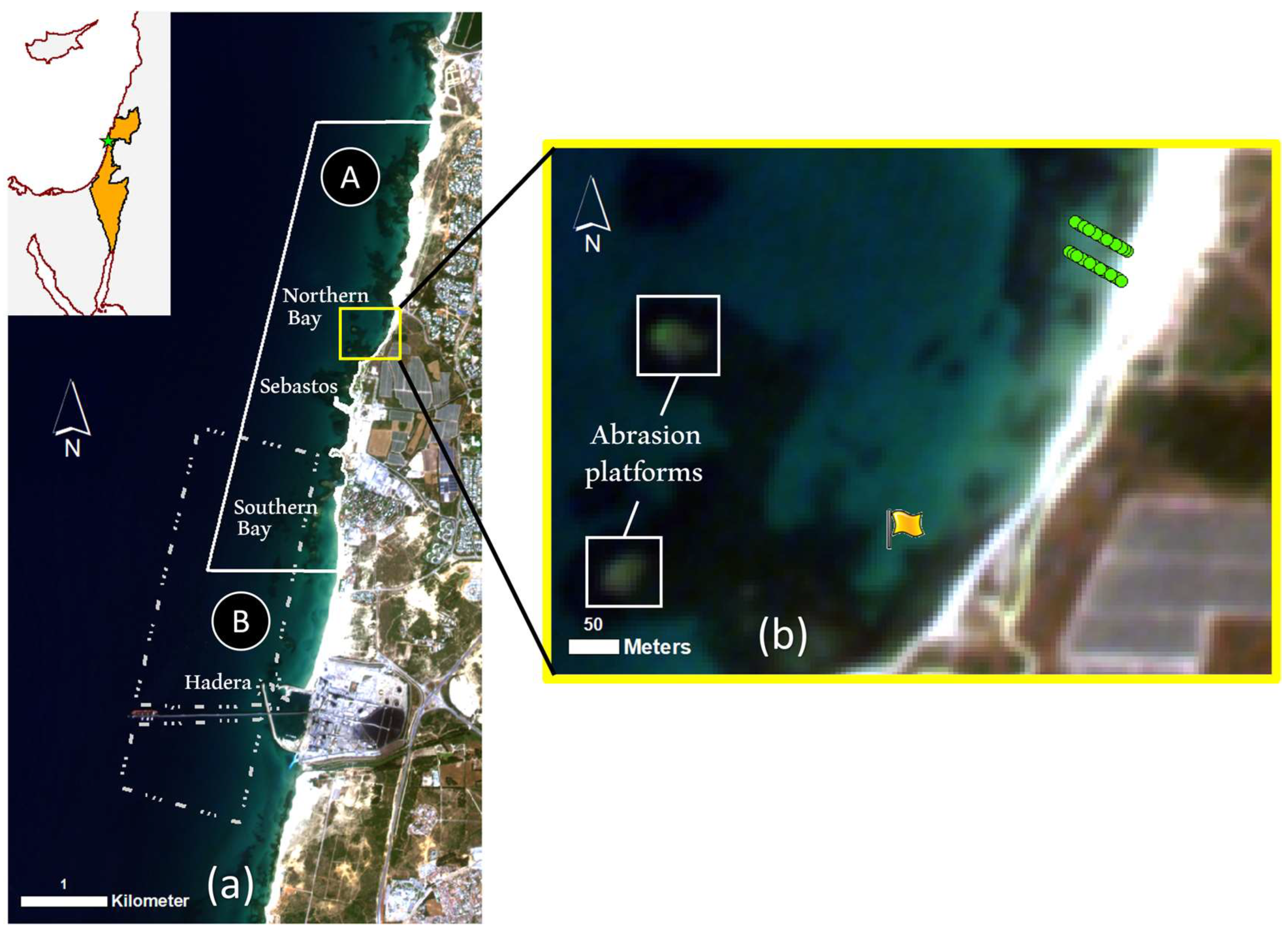 Remotesensing 16 01218 g001