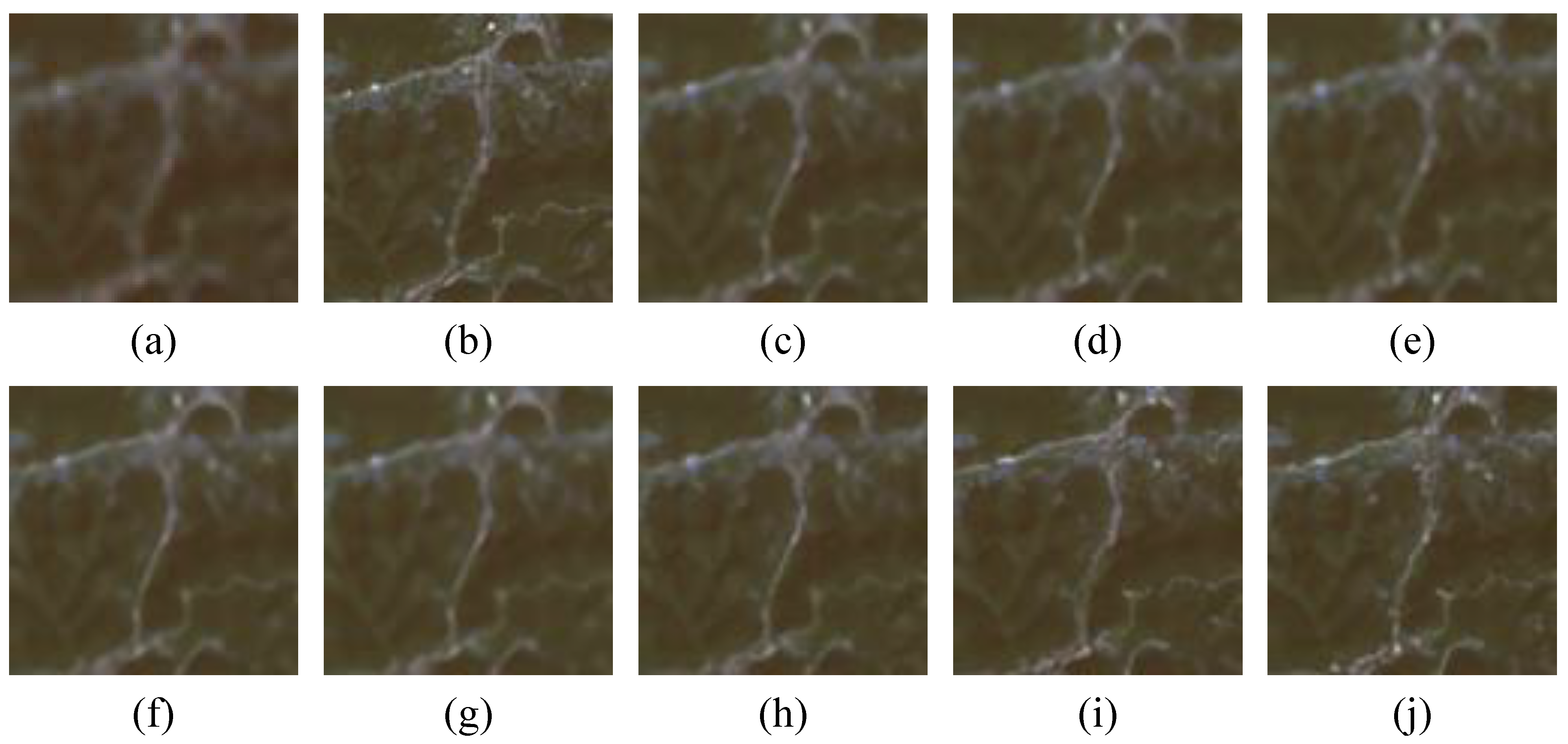 Remotesensing 16 01219 g003