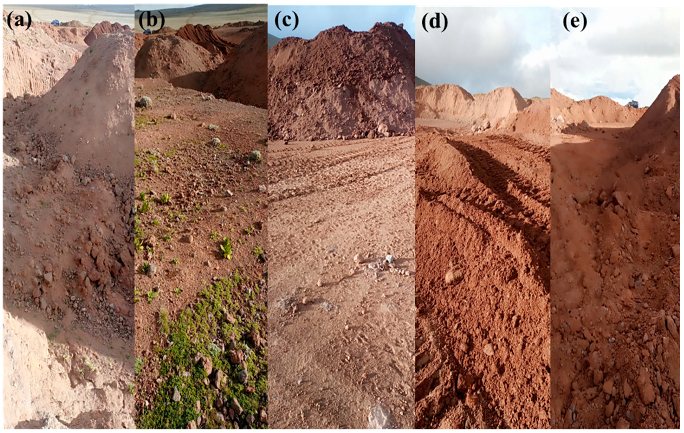 Remotesensing 16 01226 g011