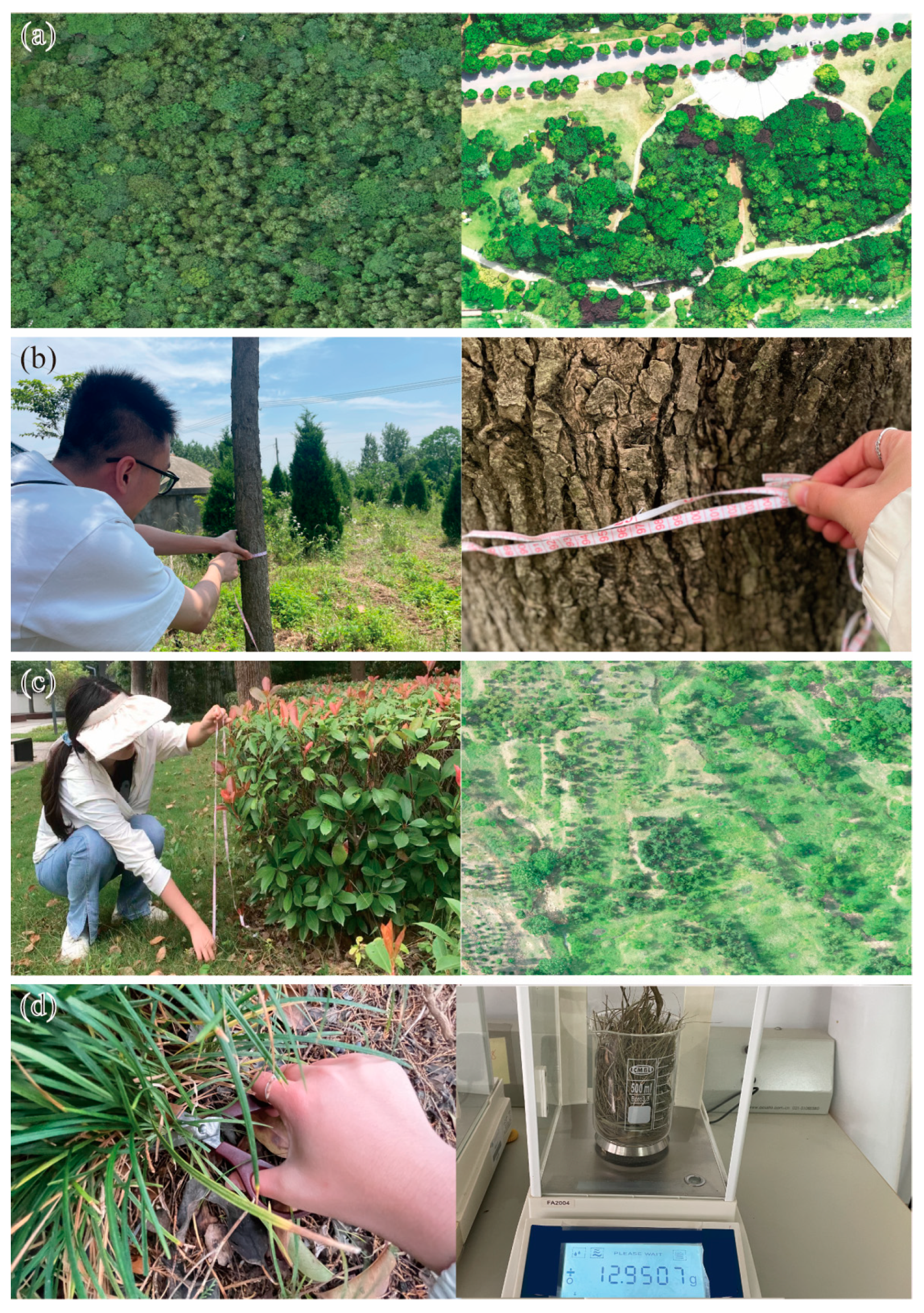 Remotesensing 16 01229 g002