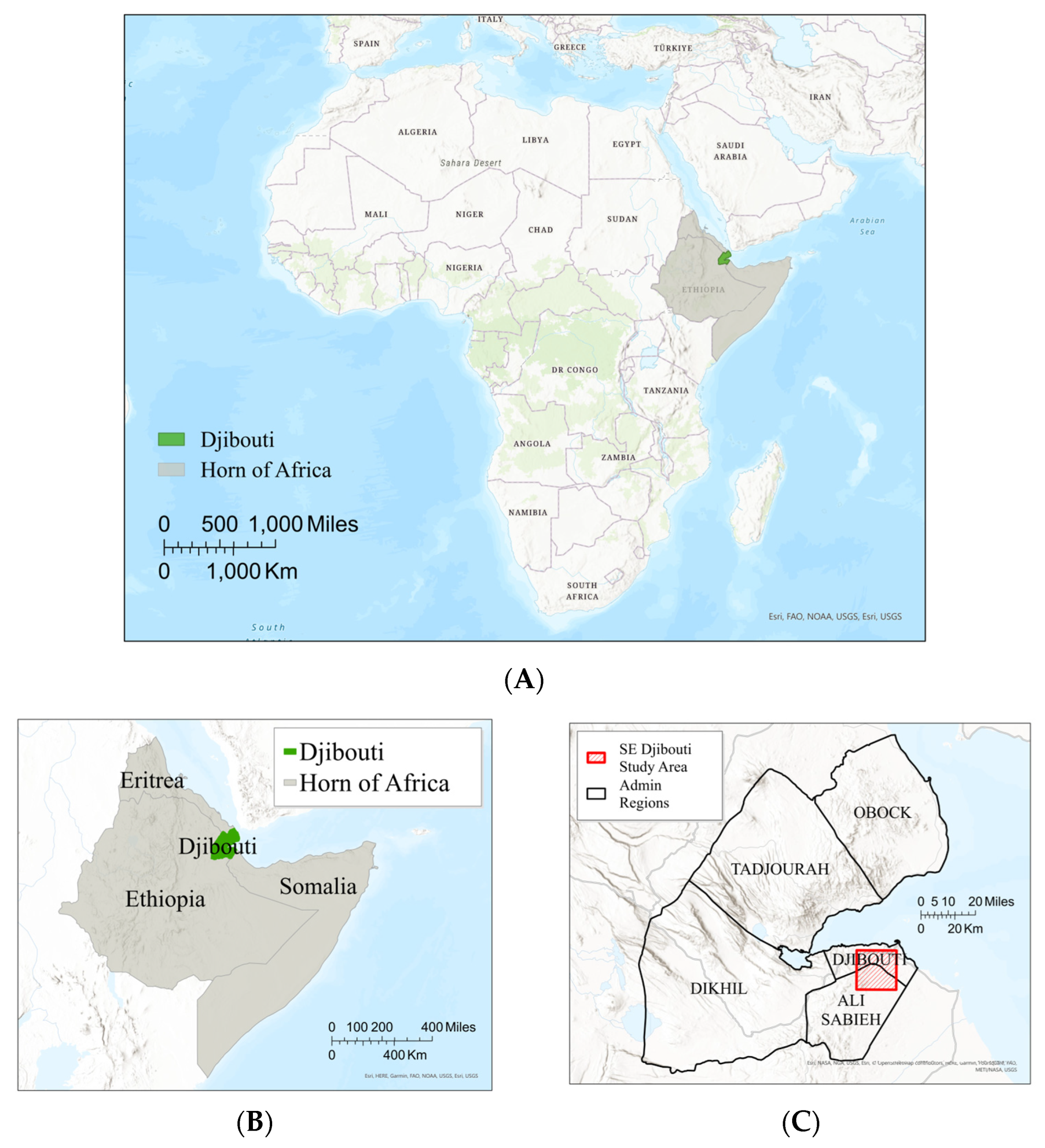 Remotesensing 16 01241 g001