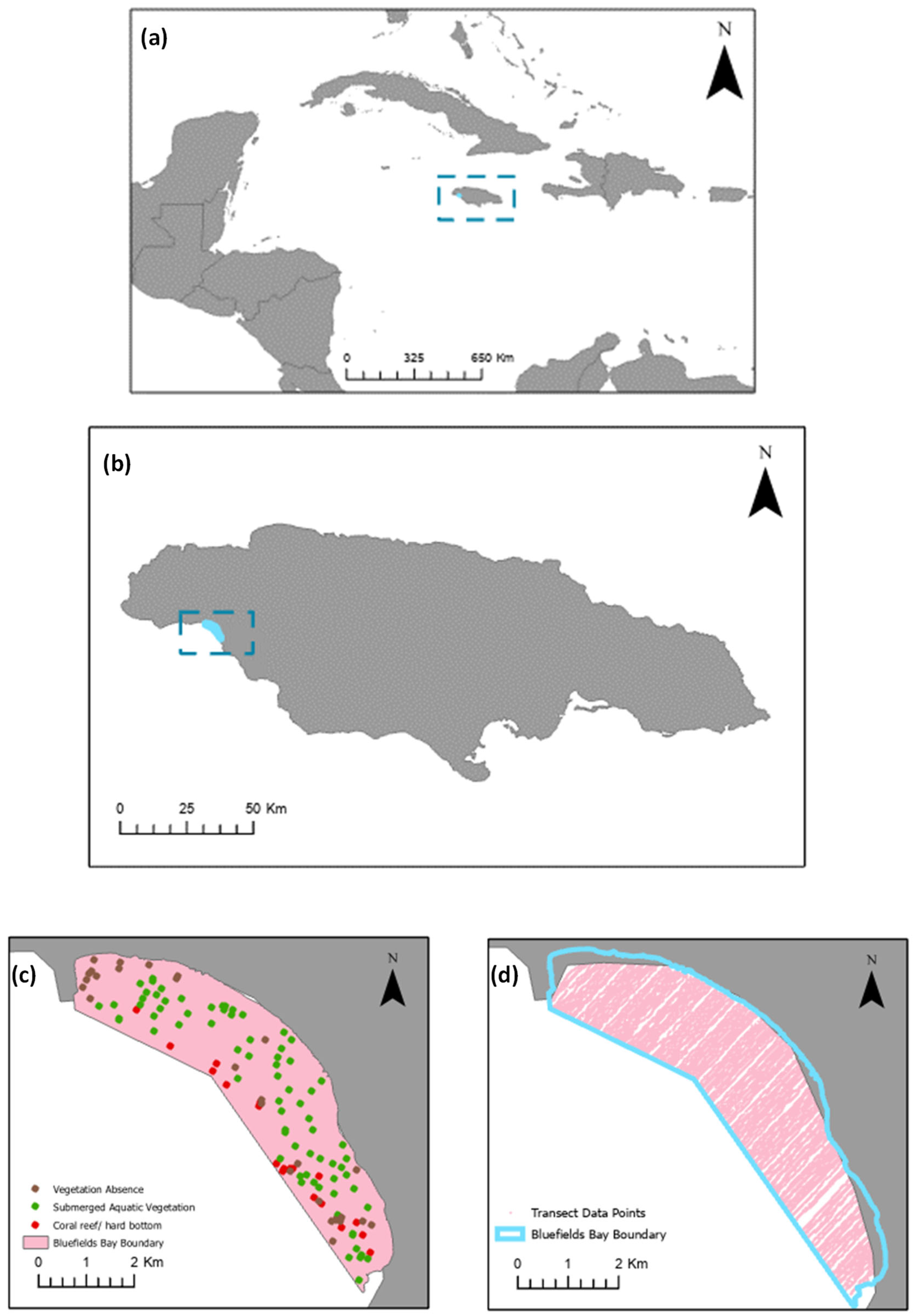 Remotesensing 16 01247 g001
