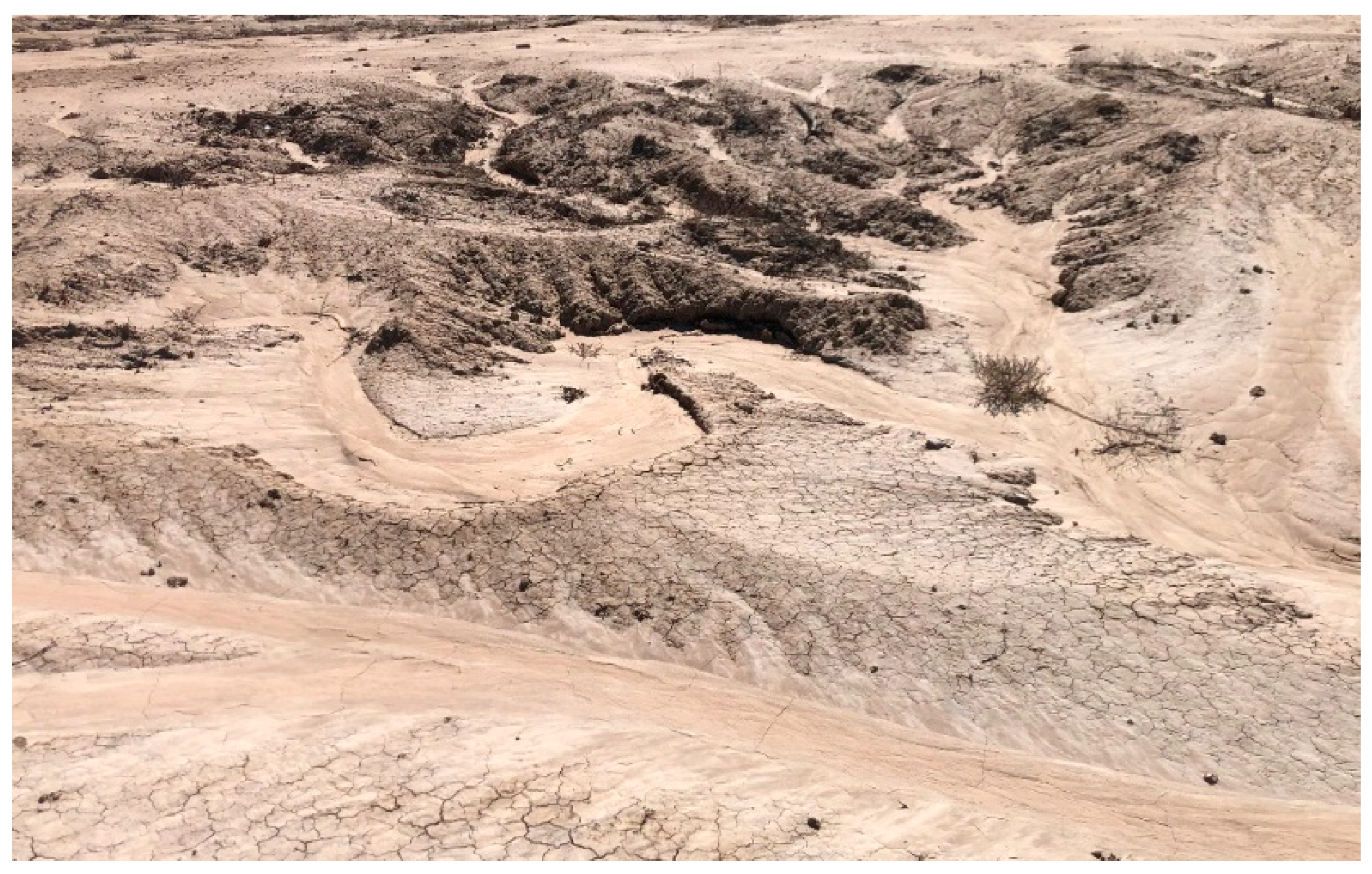 Remotesensing 16 01263 g012