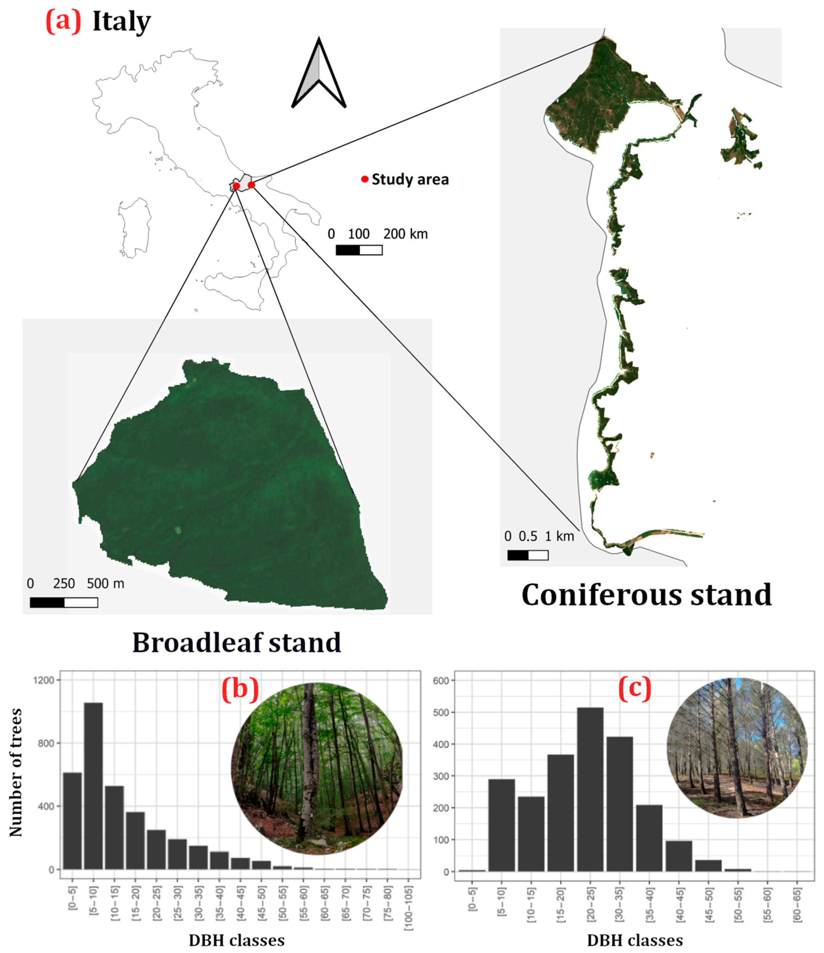 Remotesensing 16 01281 g001