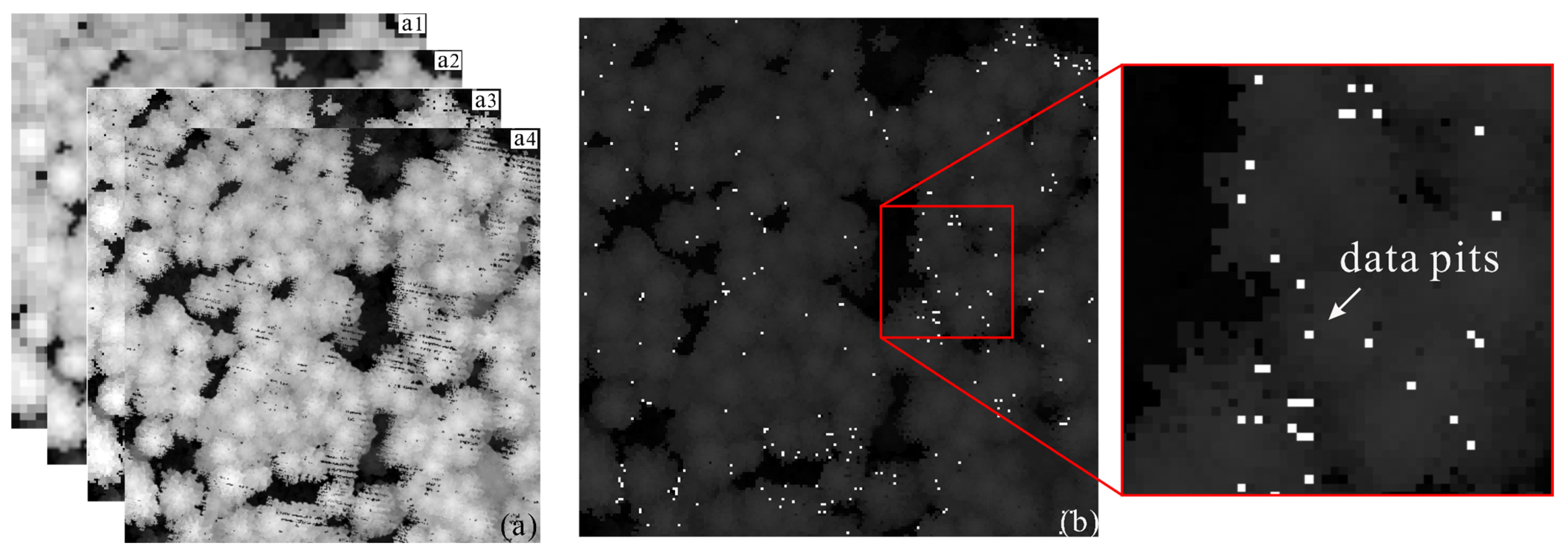 Remotesensing 16 01304 g010