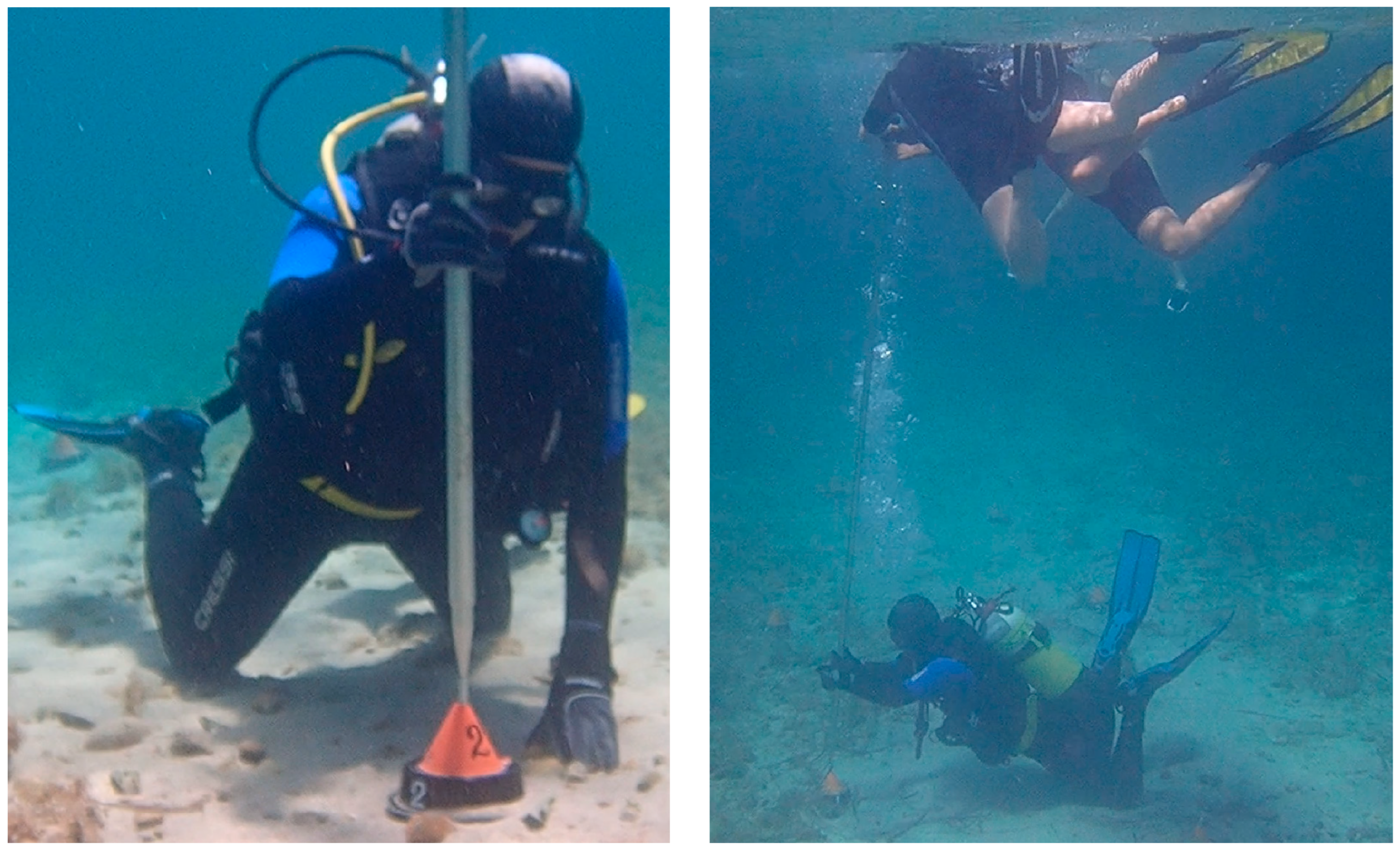 Remotesensing 16 01313 g007