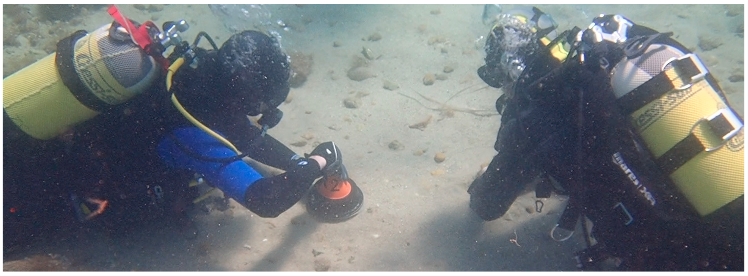 Remotesensing 16 01313 g008