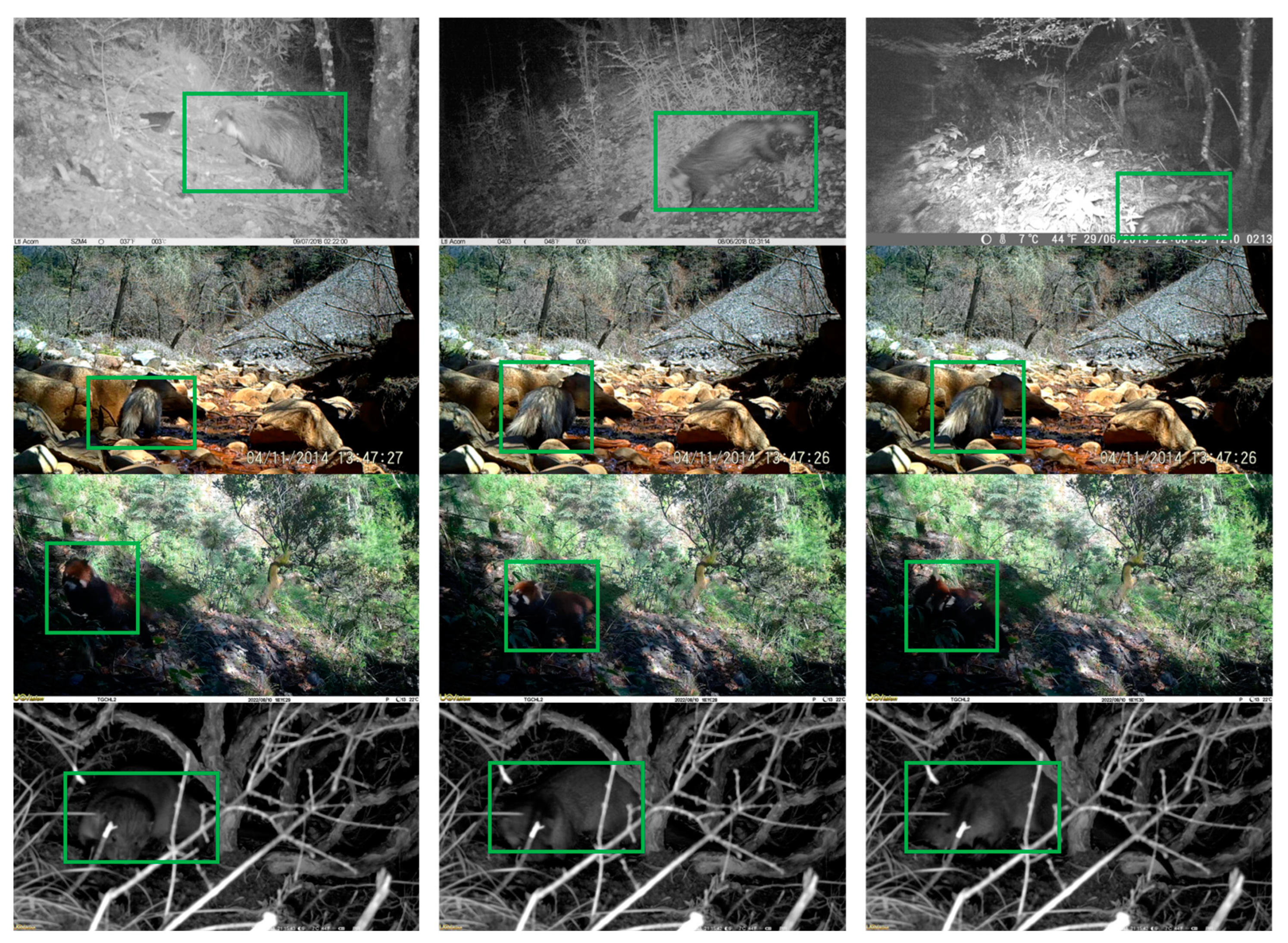 Remotesensing 16 01350 g001