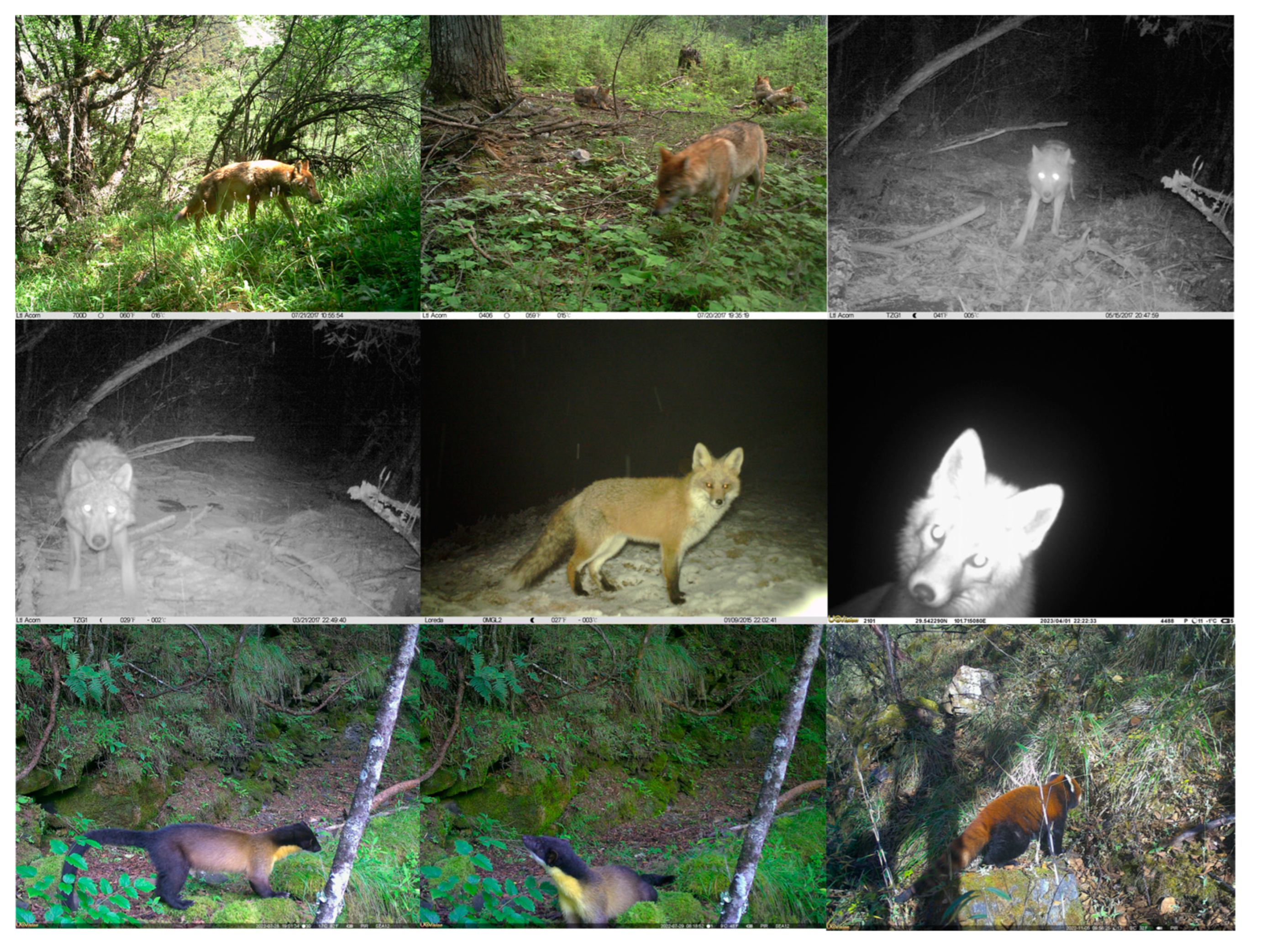 Remotesensing 16 01350 g003