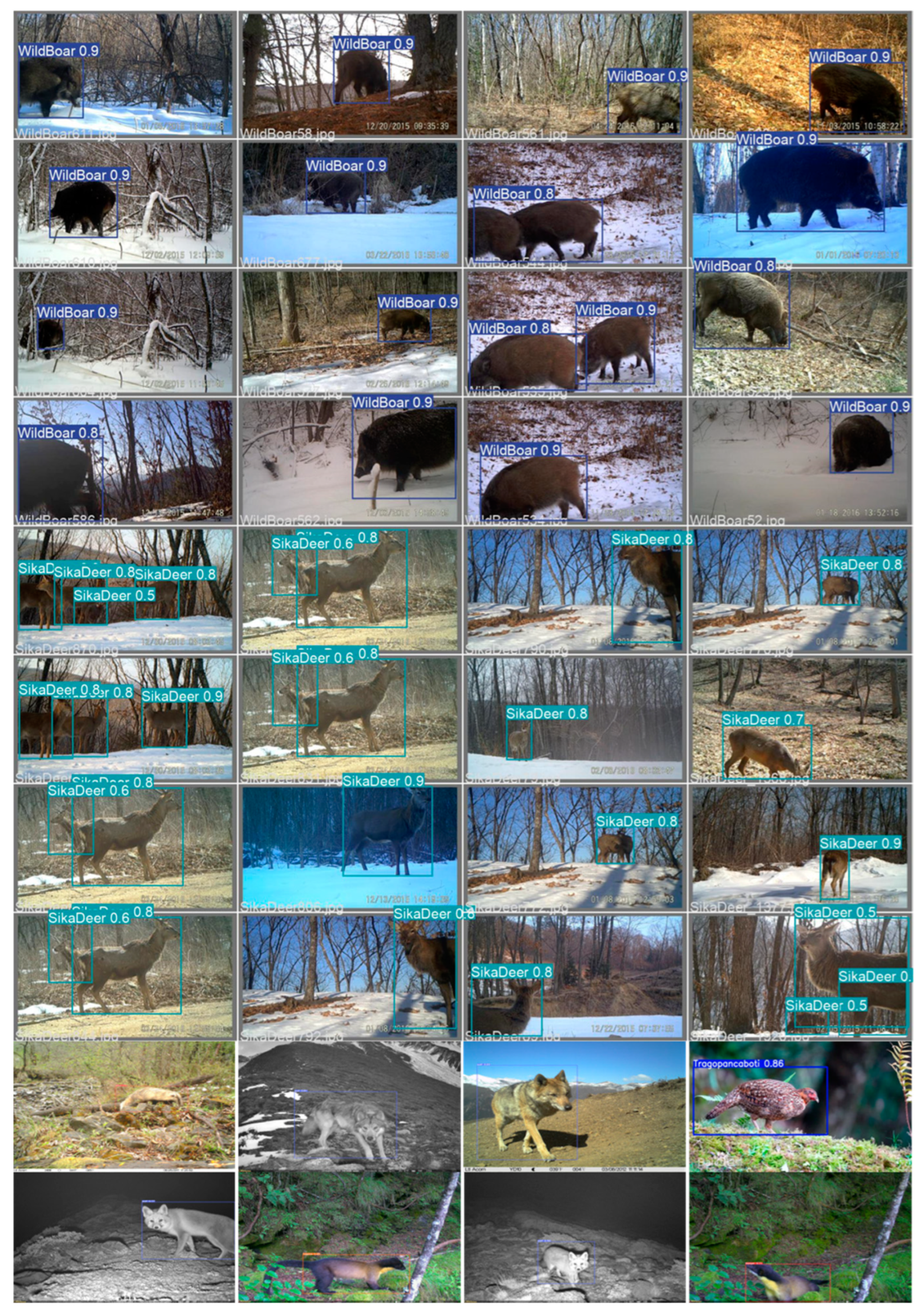 Remotesensing 16 01350 g016