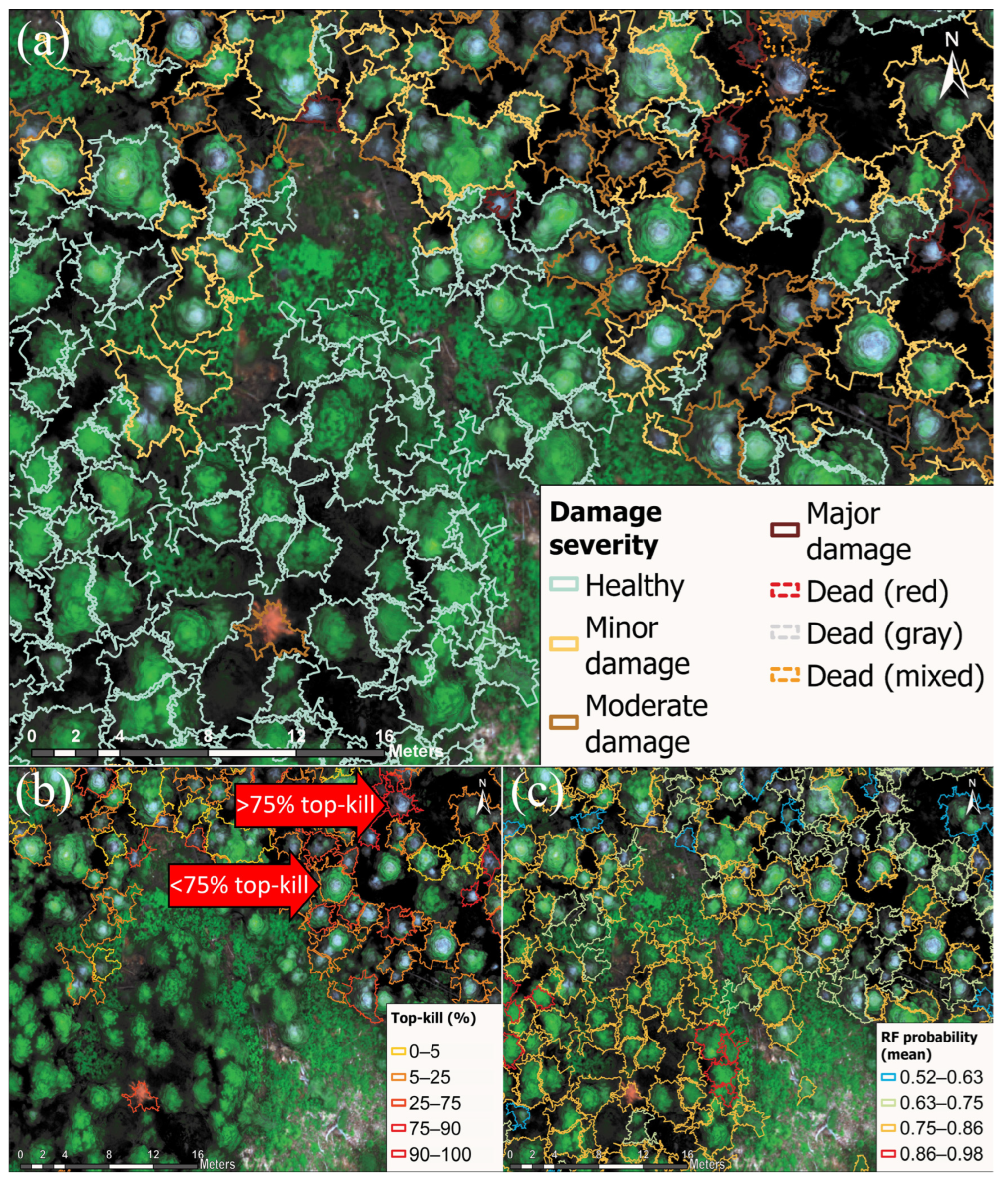 Remotesensing 16 01365 g005